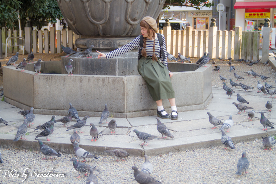 Canon EOS 7D sample photo. With birds photography