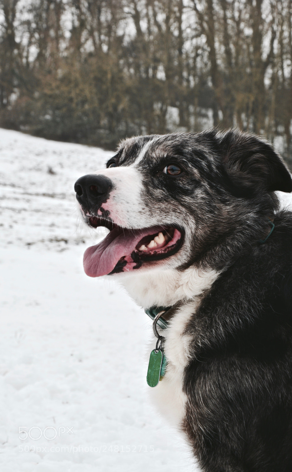 Nikon D5200 sample photo. Smokey photography