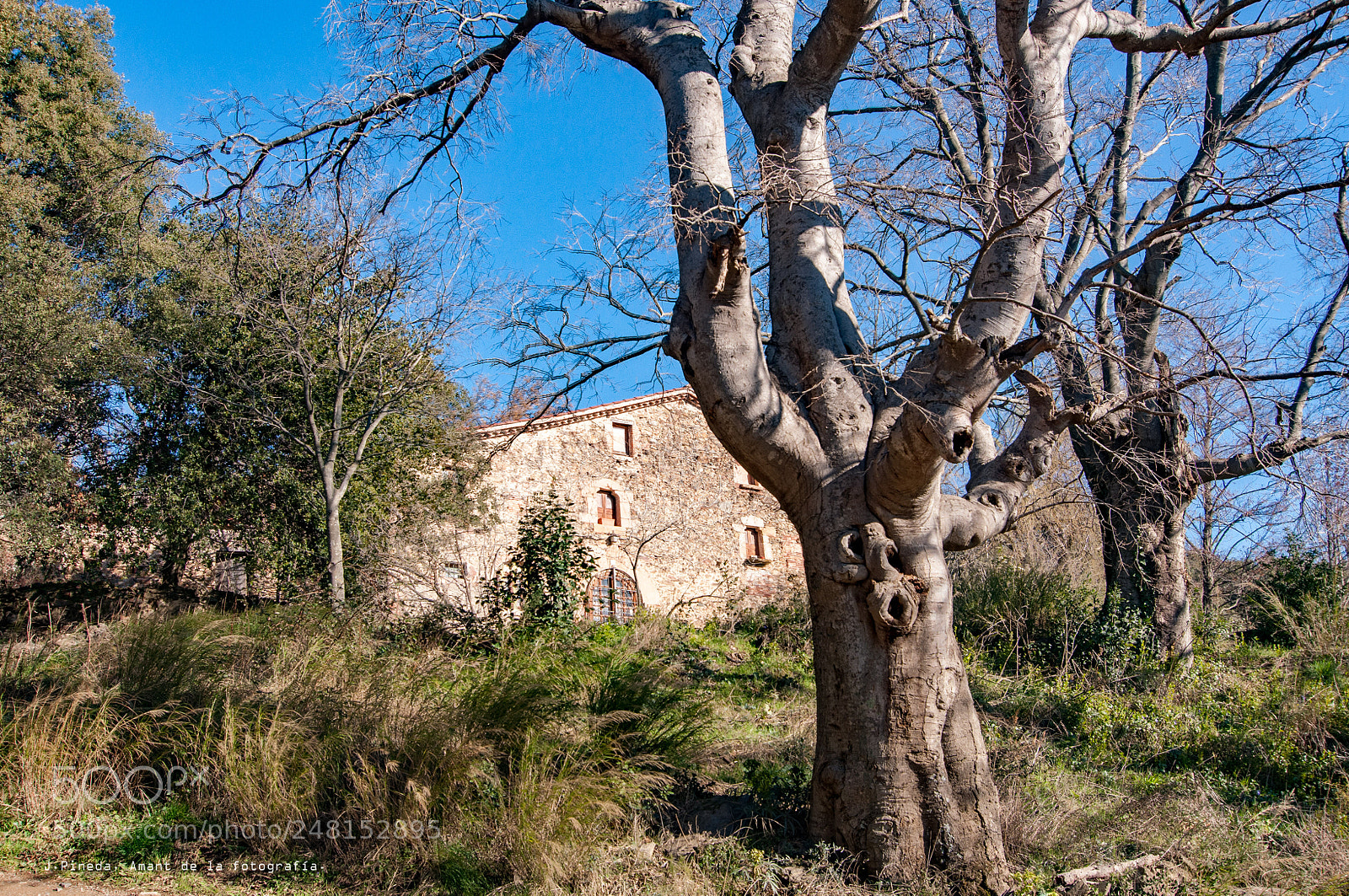 Nikon D90 sample photo. Montseny photography