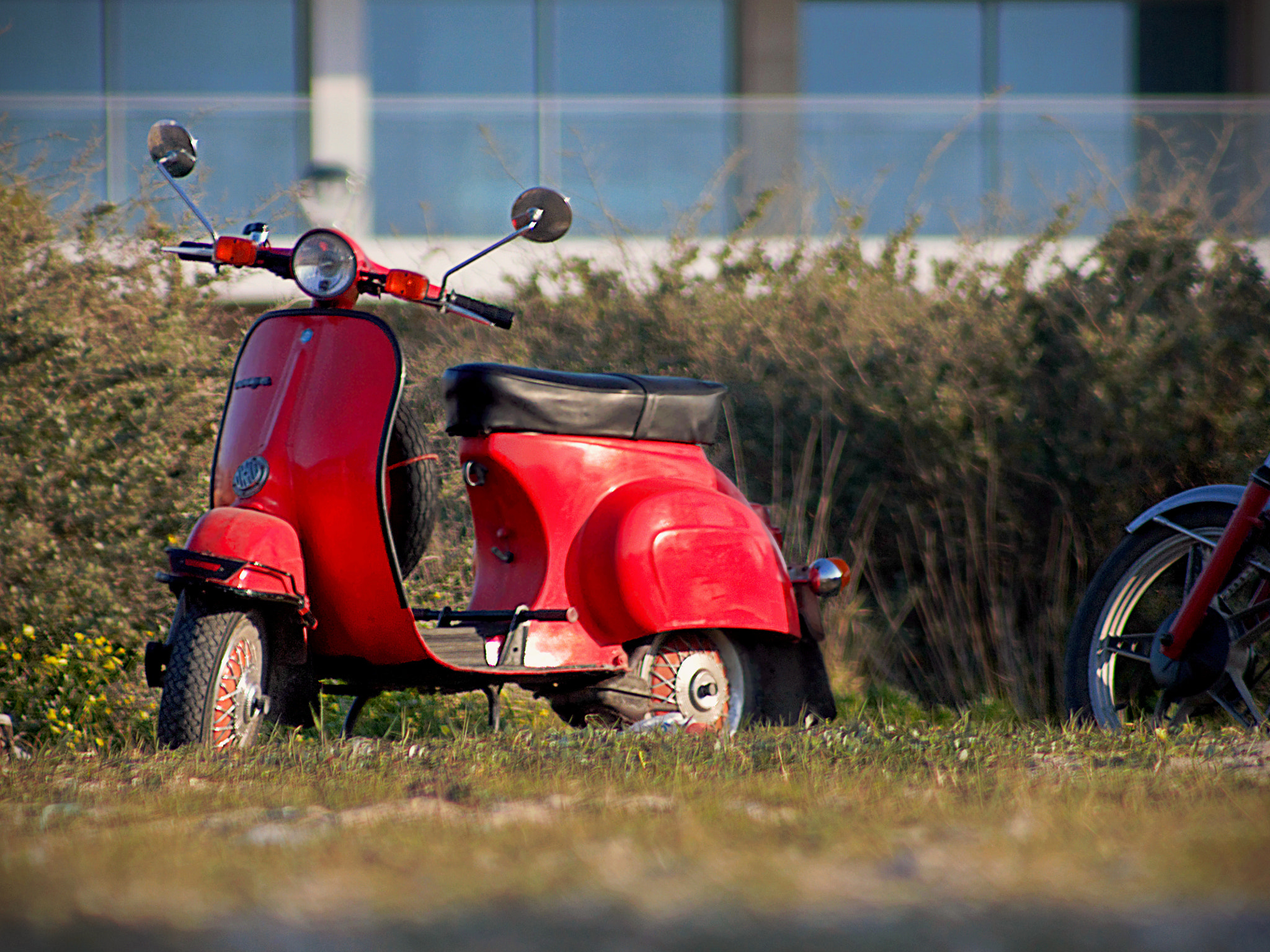 Canon EF 75-300mm f/4-5.6 sample photo. Vespa photography