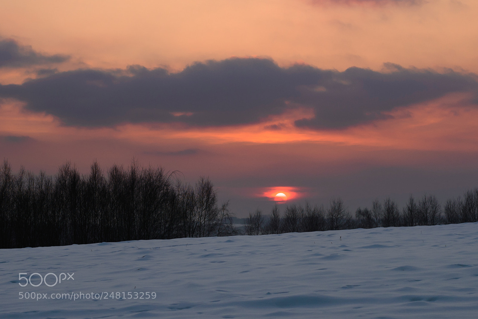 Nikon D600 sample photo. Dusk photography