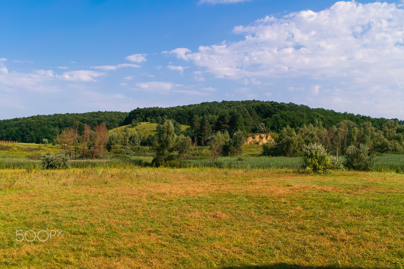 Sigma DP2 sample photo. Украинские виды photography