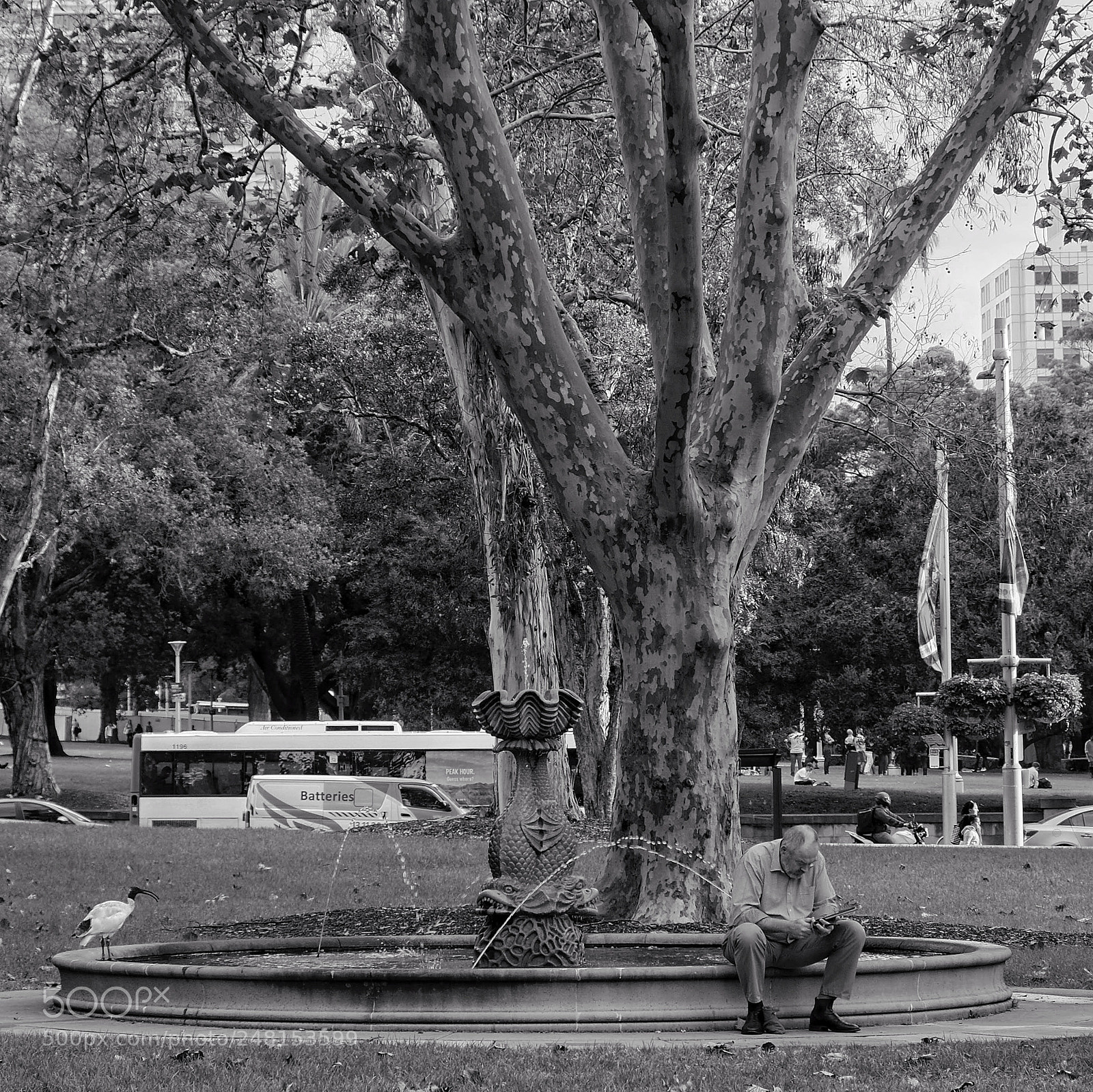 Fujifilm X-T20 sample photo. Untitled photography