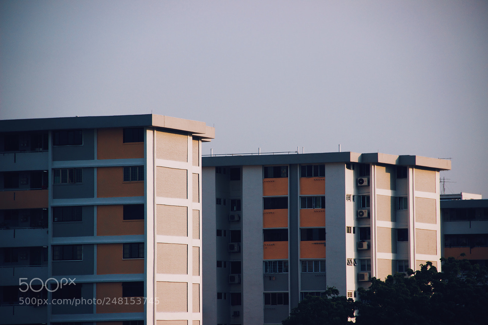Canon EOS 600D (Rebel EOS T3i / EOS Kiss X5) sample photo. Outside the window panes photography