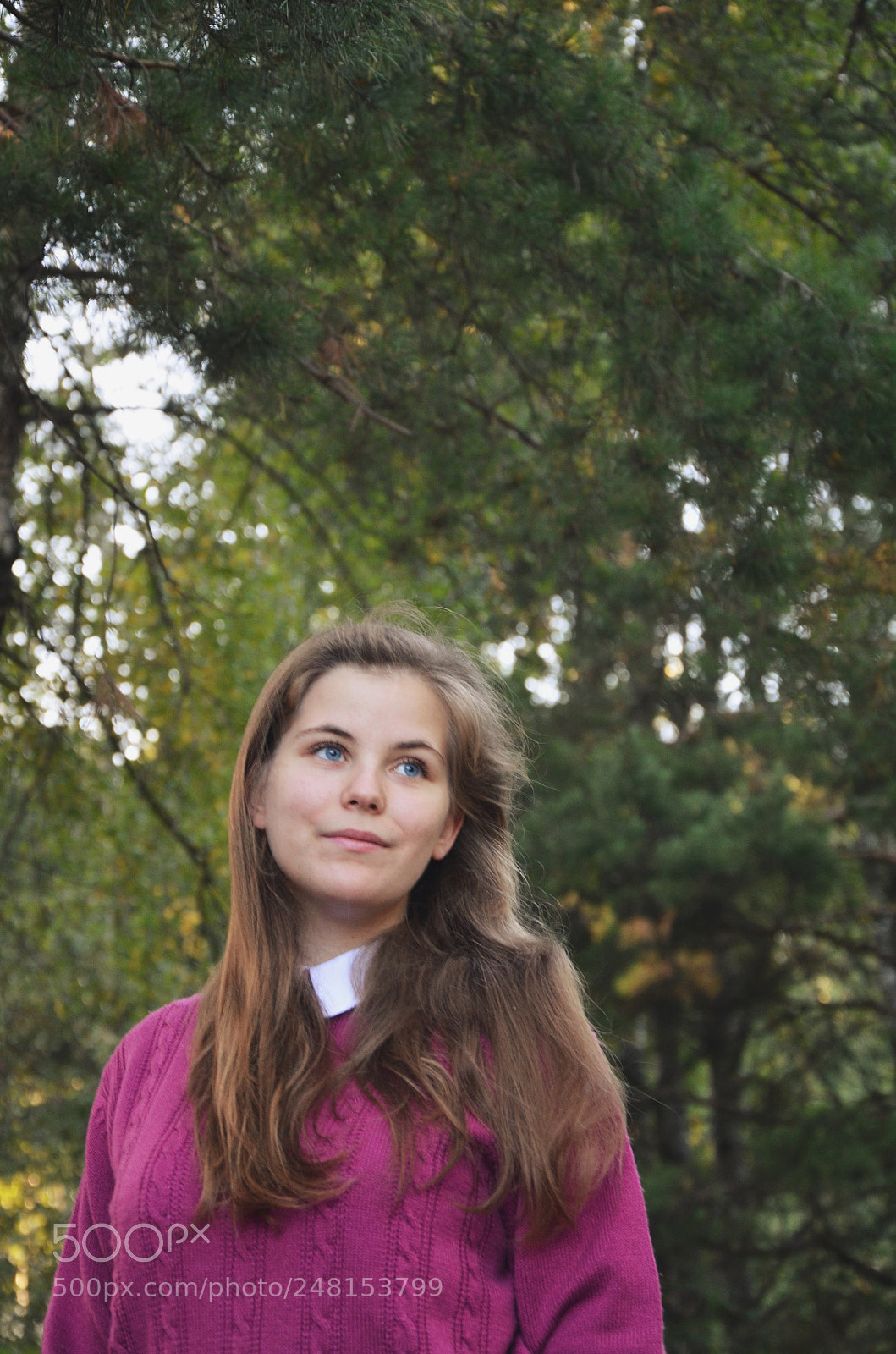 Nikon D5100 sample photo. Autumn photography