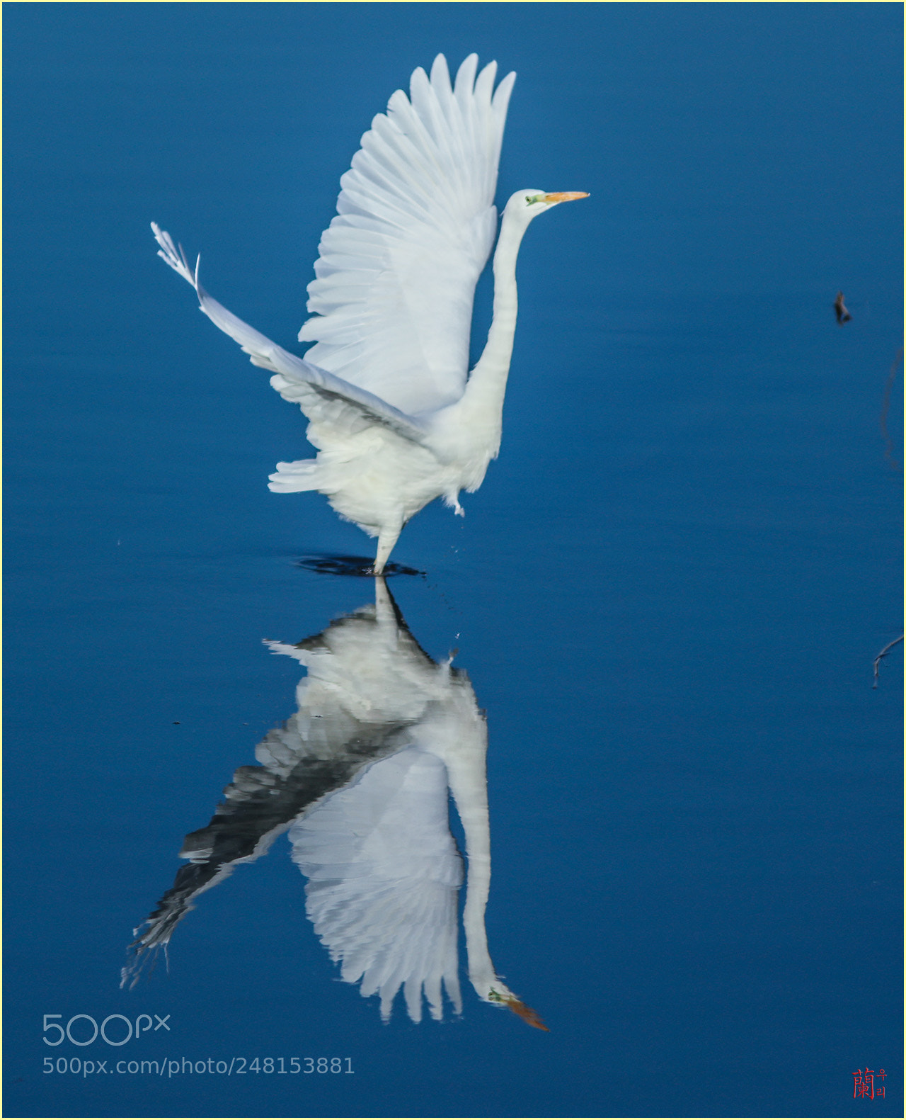 Canon EOS 5DS R sample photo. Winter egret photography