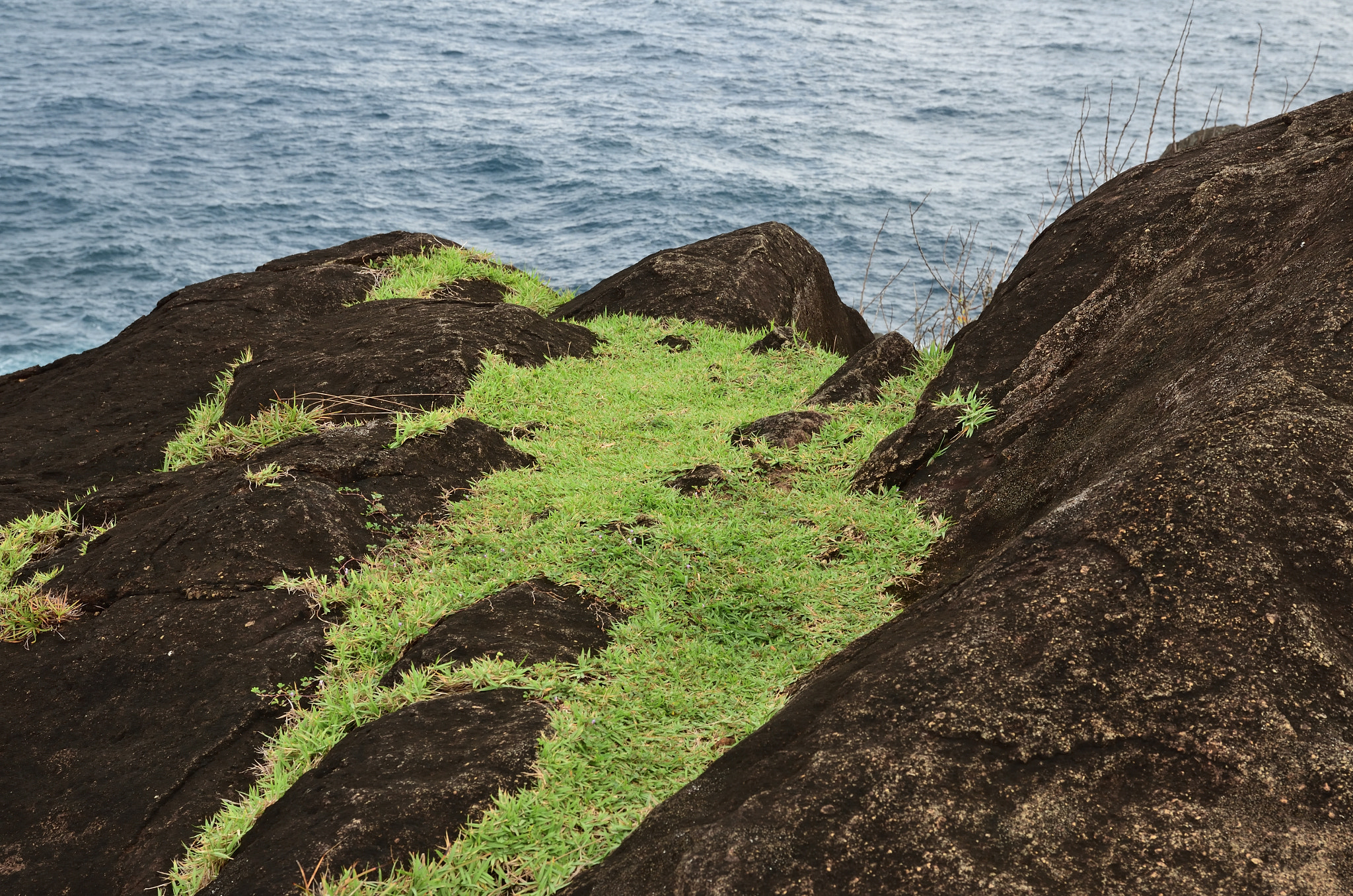 Nikon D5100 + Sigma 17-70mm F2.8-4 DC Macro OS HSM | C sample photo. Green rock's photography