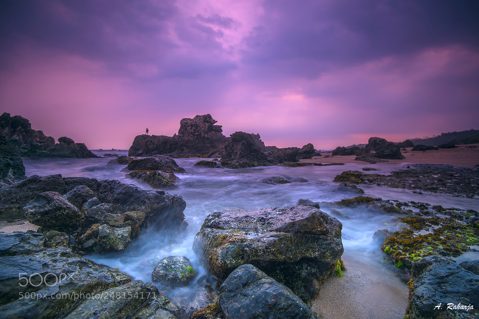 Nikon D810 sample photo. Rock garden 3 photography