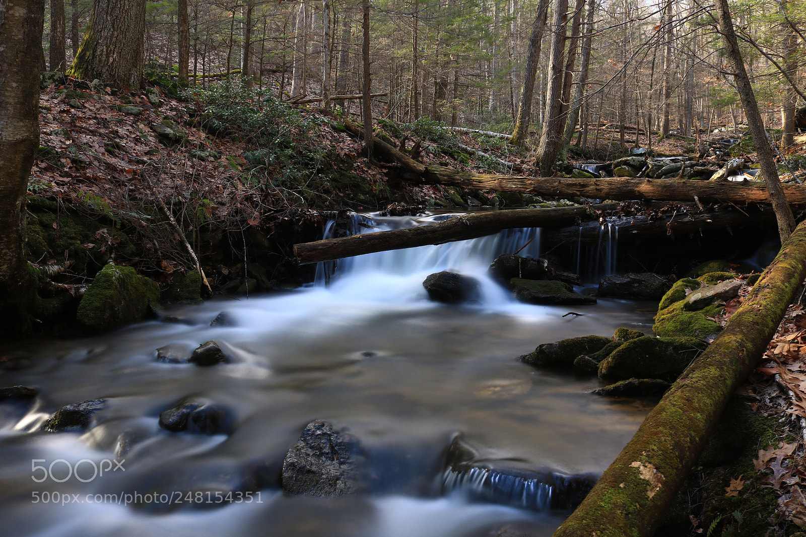Canon EOS 750D (EOS Rebel T6i / EOS Kiss X8i) sample photo. Falls in a stream photography