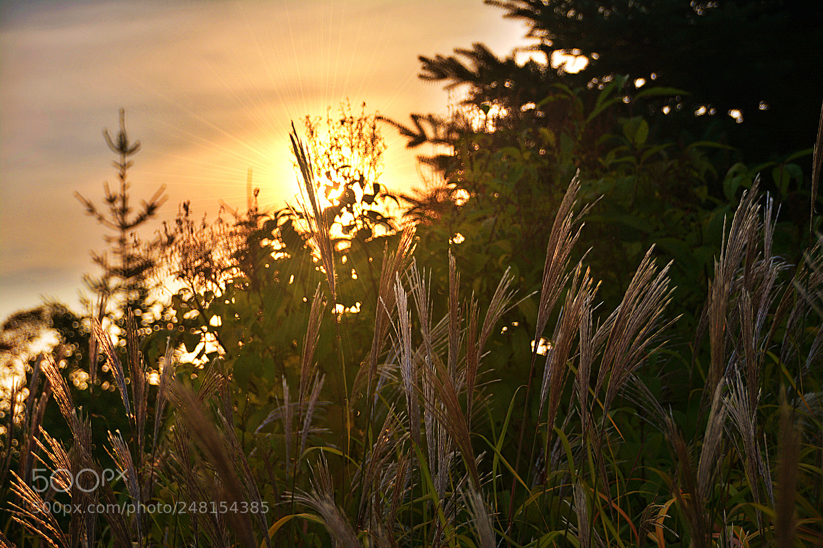 Nikon D7100 sample photo. Soleil couchant photography