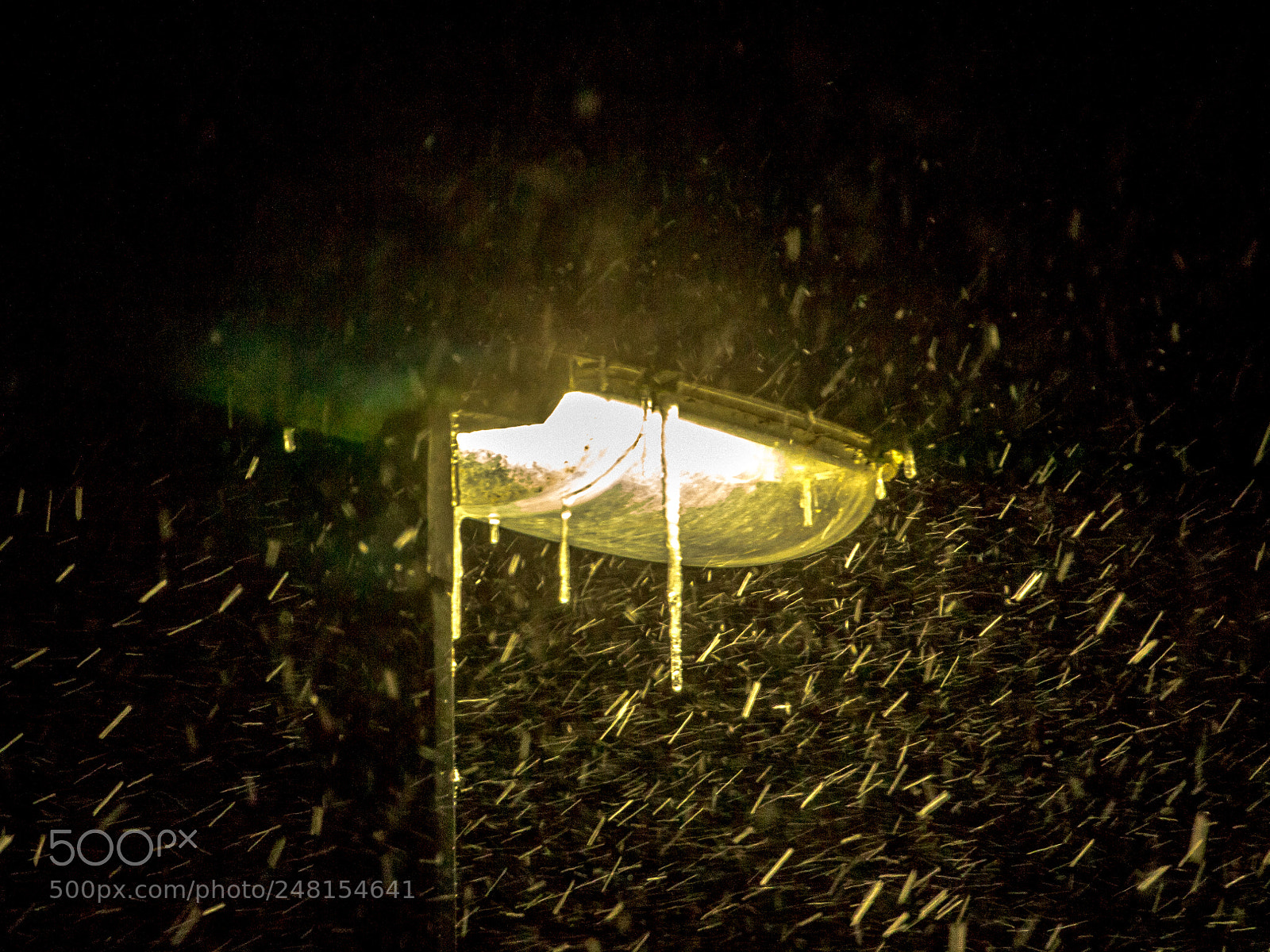 Canon EOS 700D (EOS Rebel T5i / EOS Kiss X7i) sample photo. Light snow photography