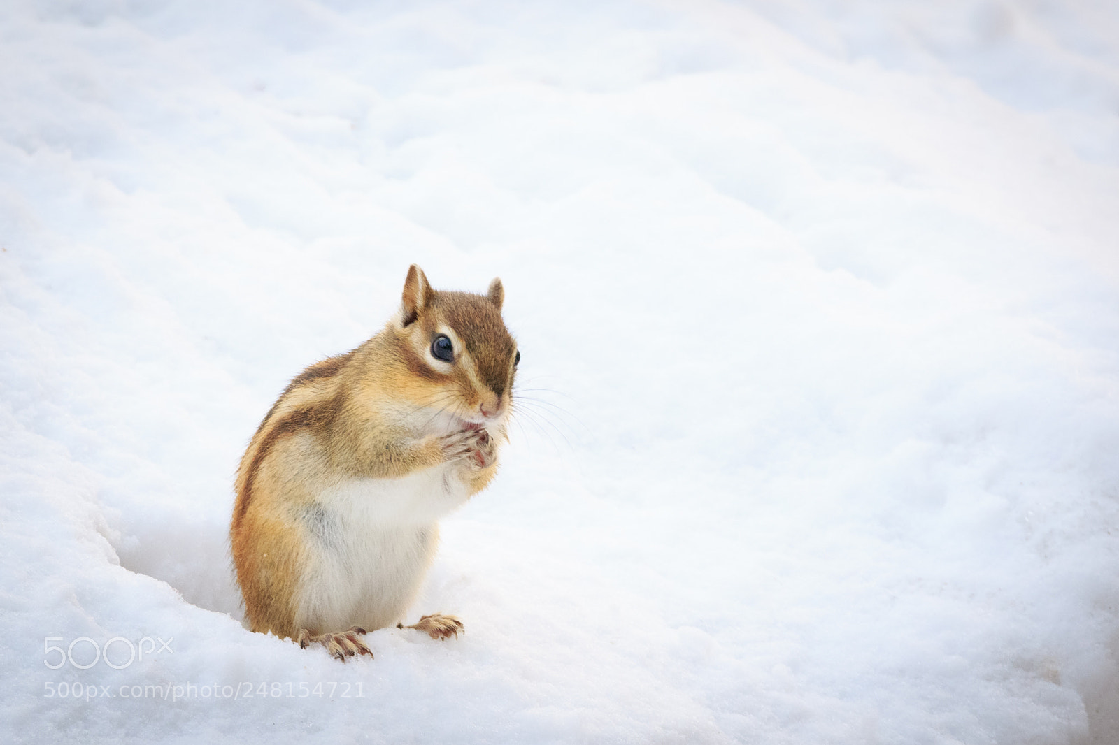 Canon EOS 7D Mark II sample photo. Good to see you photography