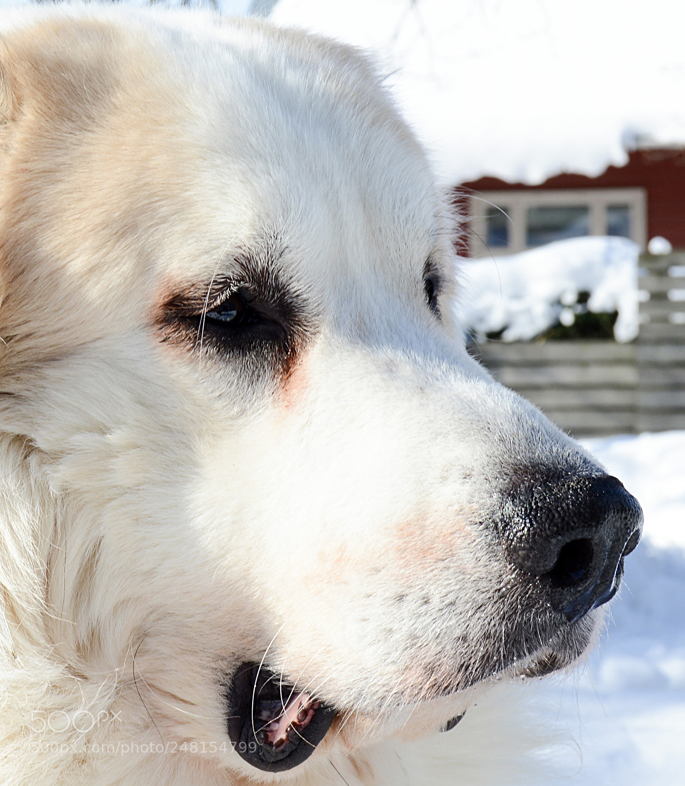 Nikon D3200 sample photo. Untitled photography