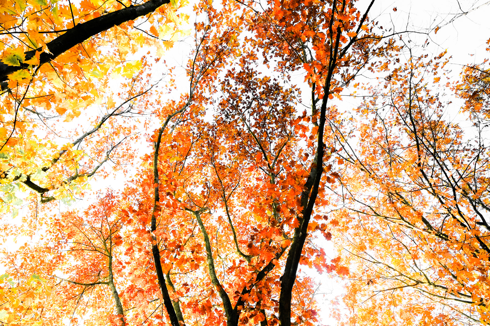 Fujifilm X-E3 sample photo. Colors photography