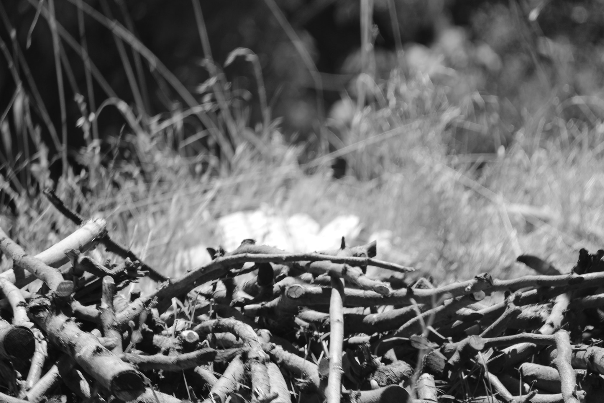 Canon EOS 650D (EOS Rebel T4i / EOS Kiss X6i) sample photo. Before the fire! photography