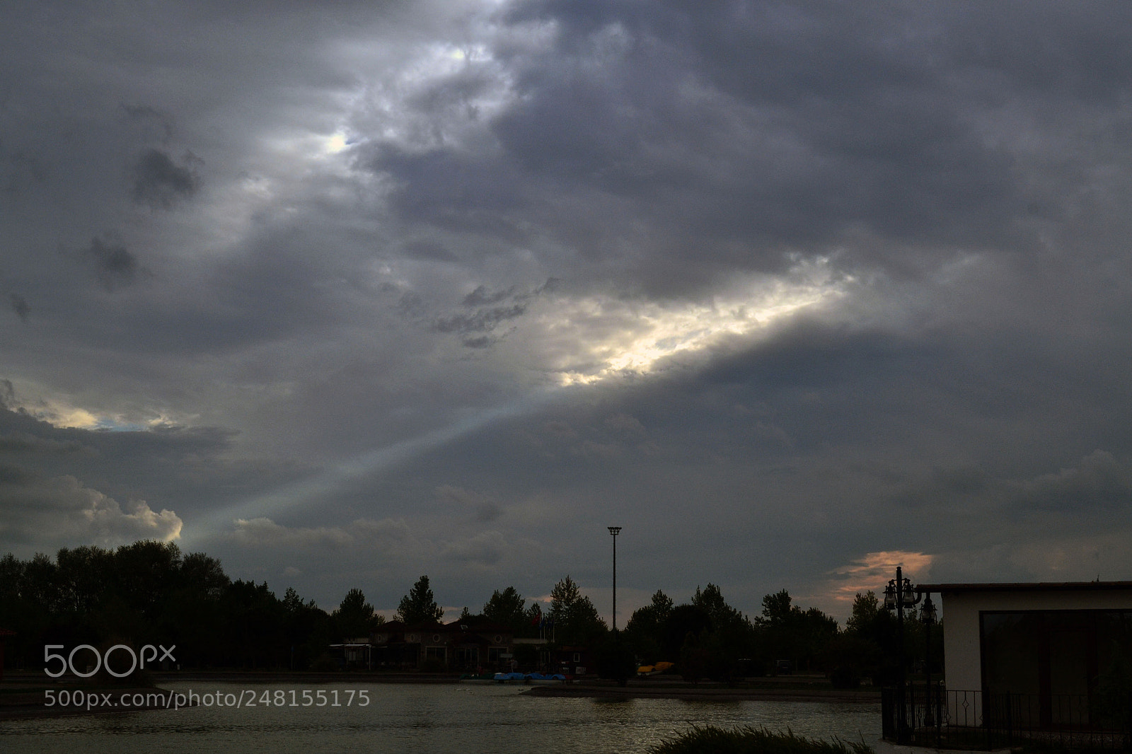 Nikon D3100 sample photo. Untitled photography