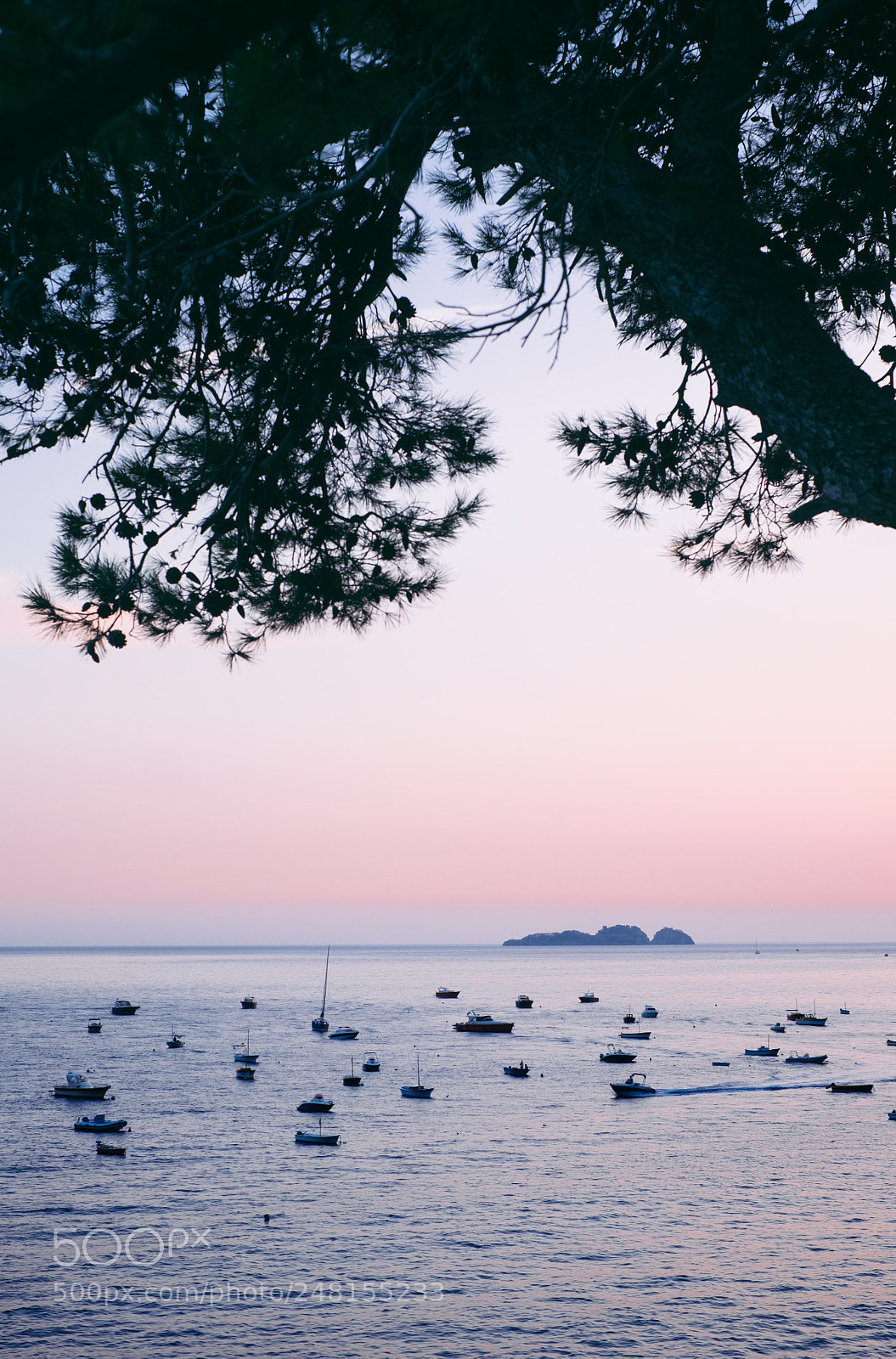 Fujifilm X-E2 sample photo. Evening bloom photography
