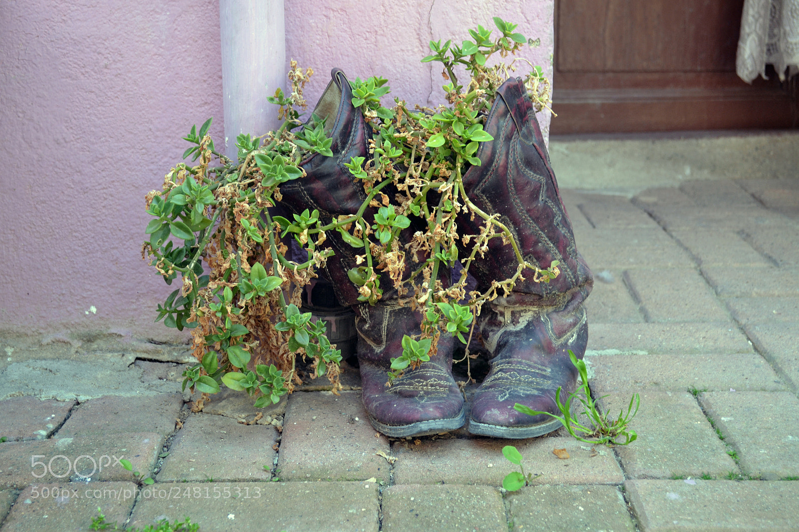 Nikon D3100 sample photo. Untitled photography