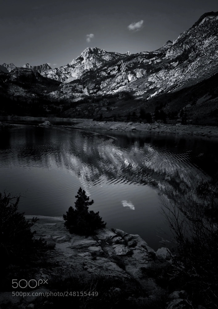 Olympus OM-D E-M10 sample photo. Subtle stillness photography
