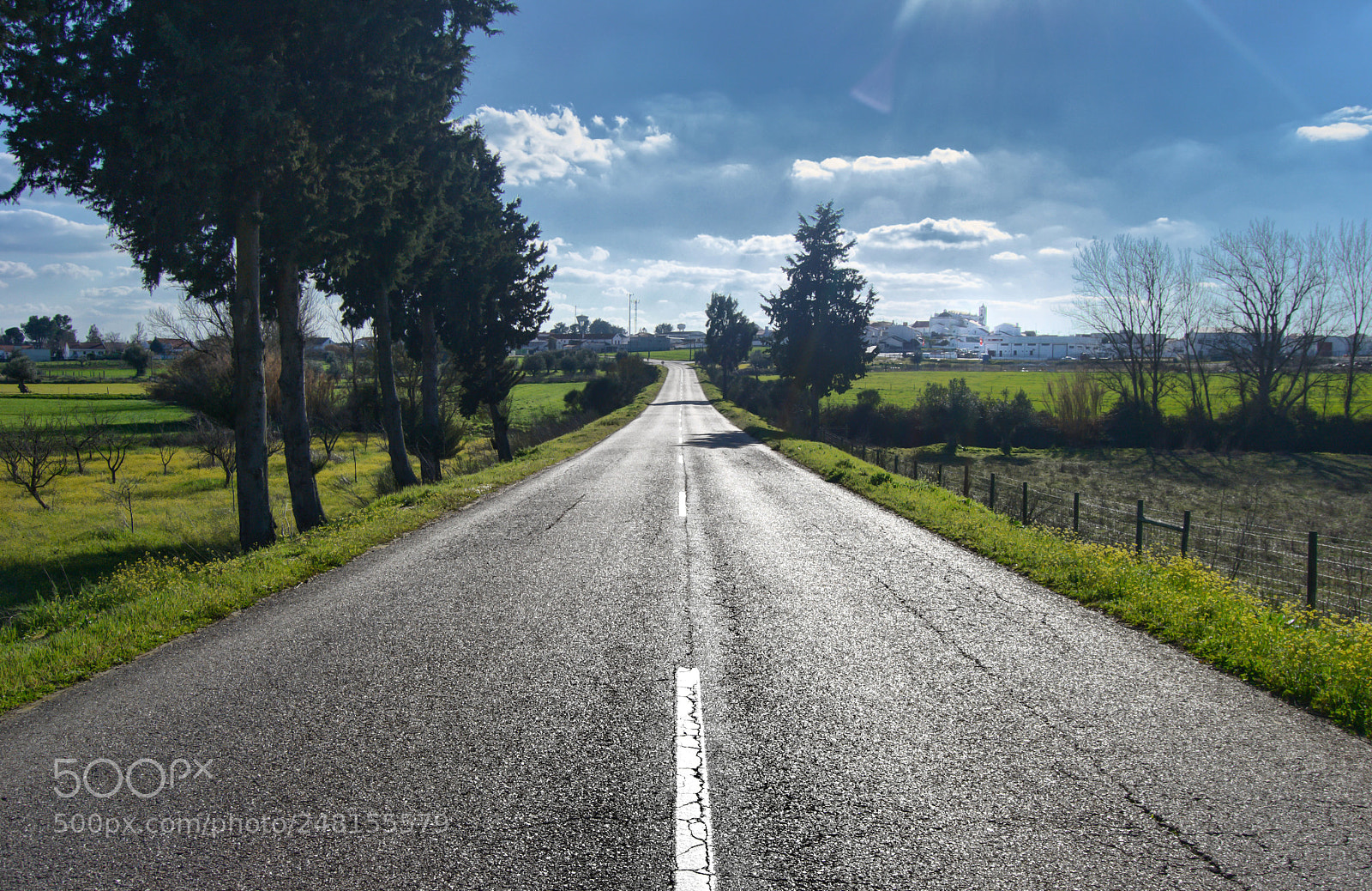 Nikon D3100 sample photo. Untitled photography
