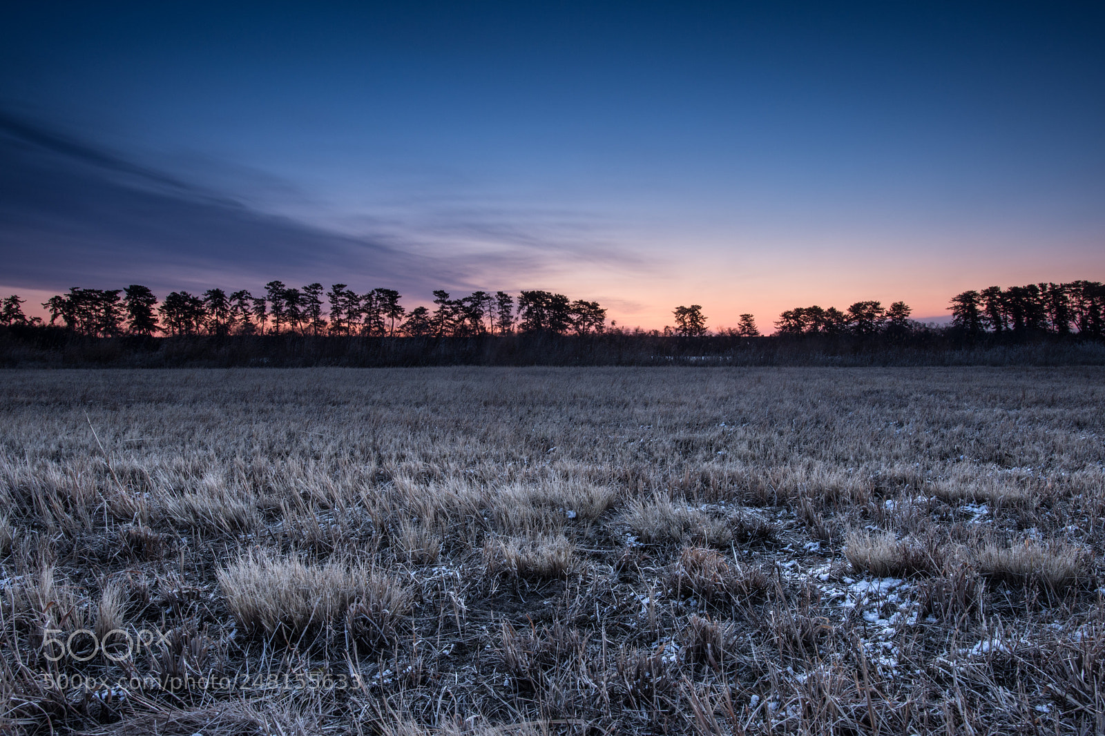 Nikon D7200 sample photo. Grassland photography