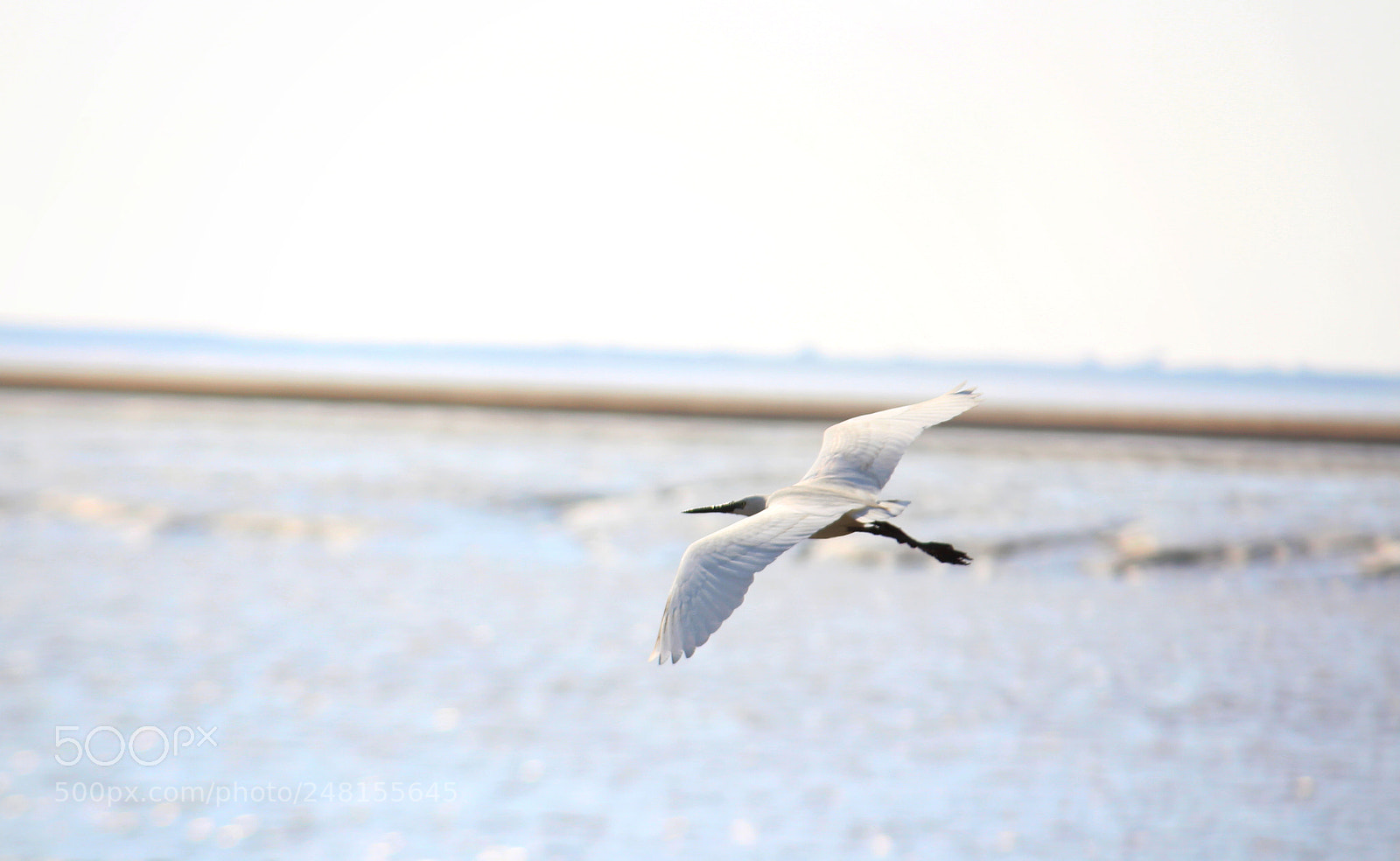 Canon EOS 700D (EOS Rebel T5i / EOS Kiss X7i) sample photo. Untitled photography