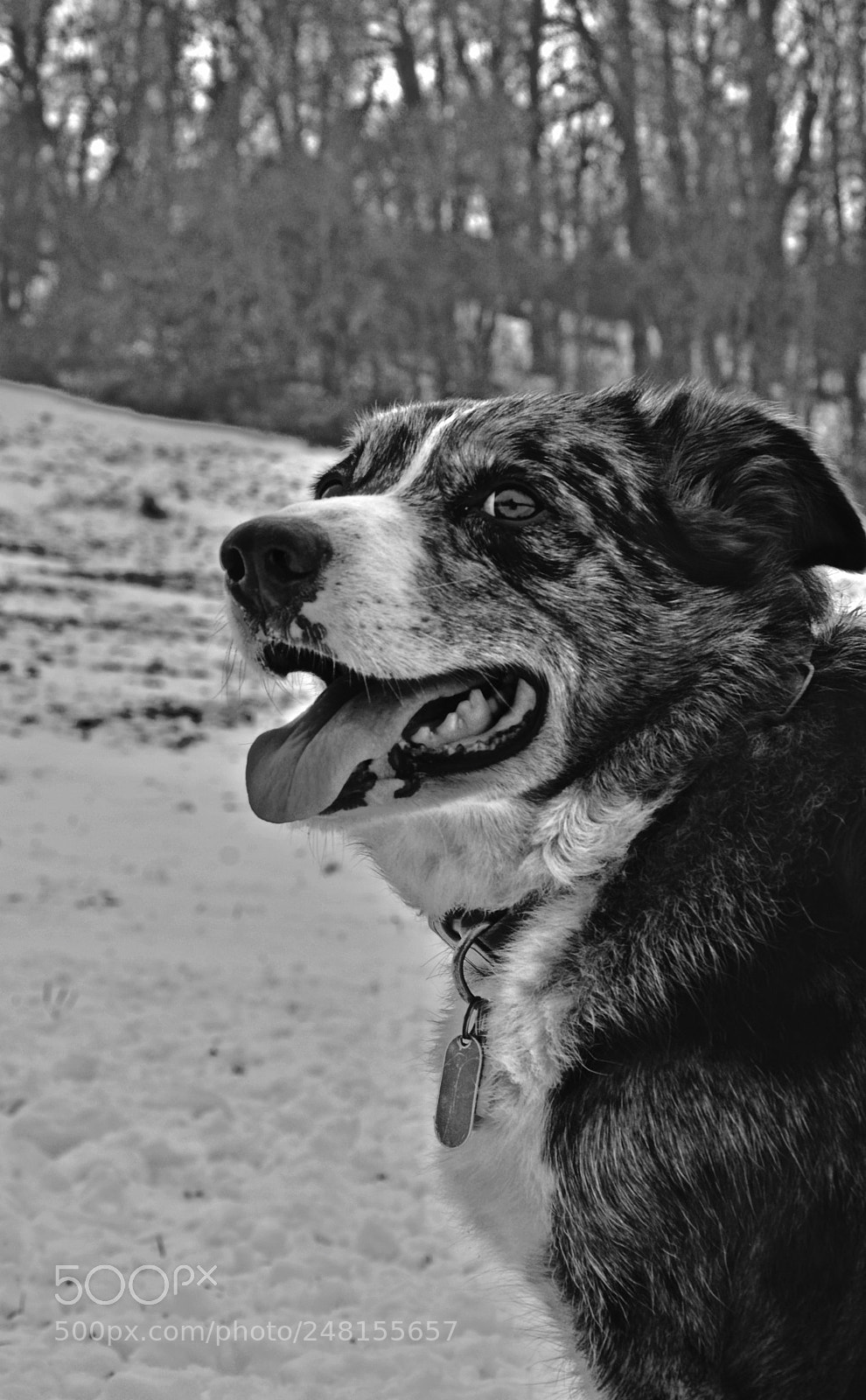 Nikon D5200 sample photo. Bw smokey photography
