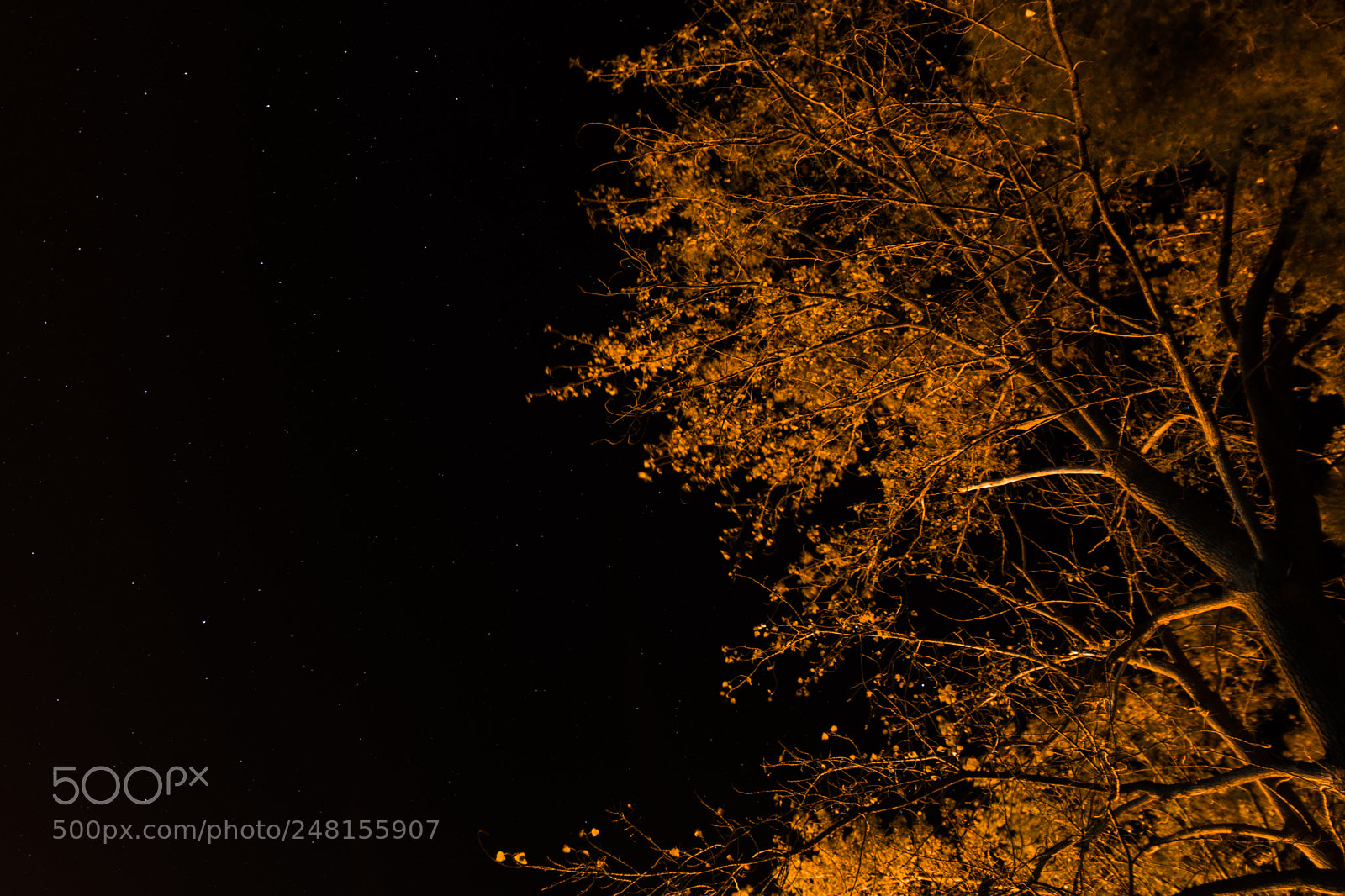 Nikon D5200 sample photo. Untitled photography