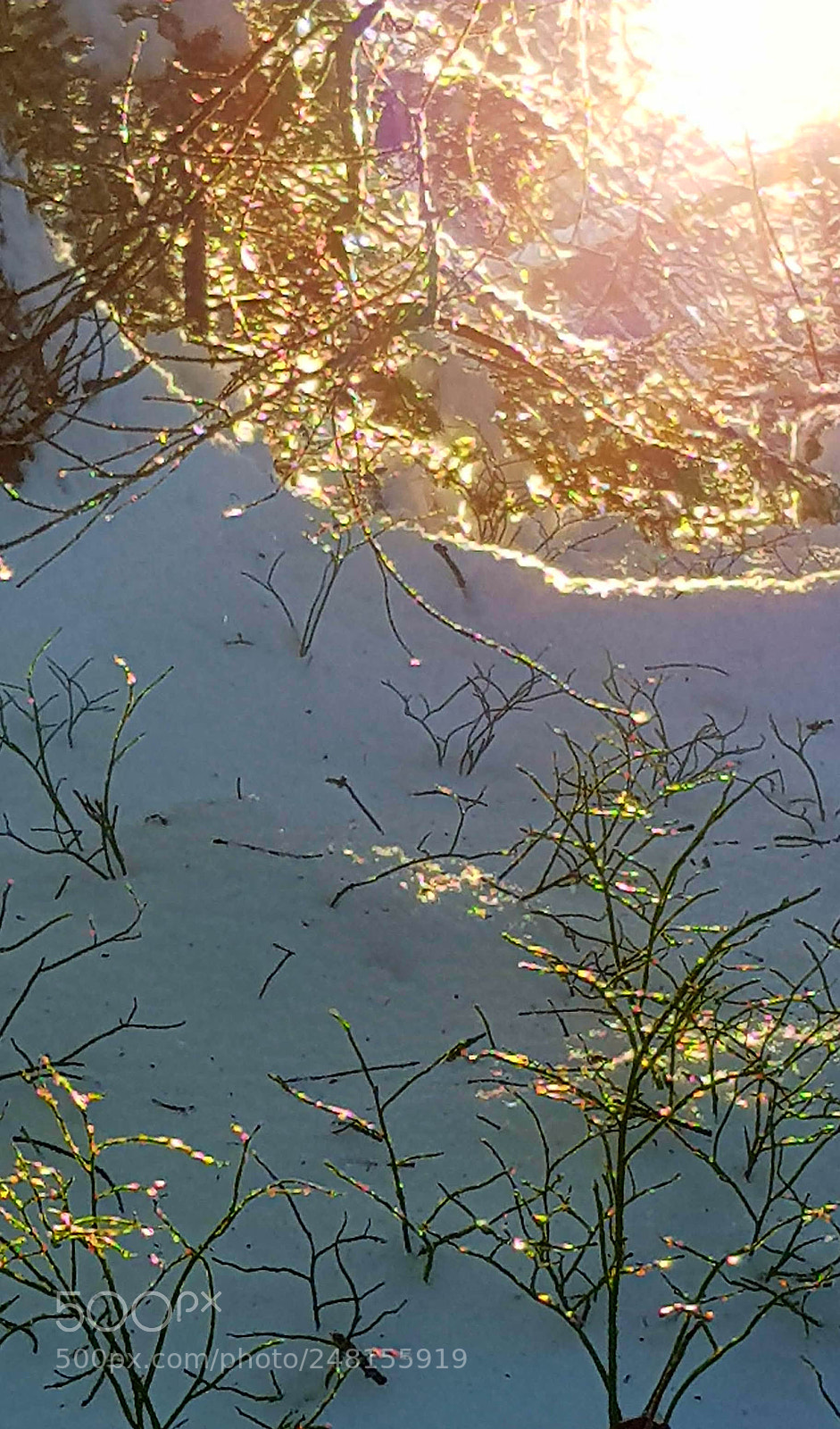 Samsung Galaxy S8 sample photo. Untitled photography