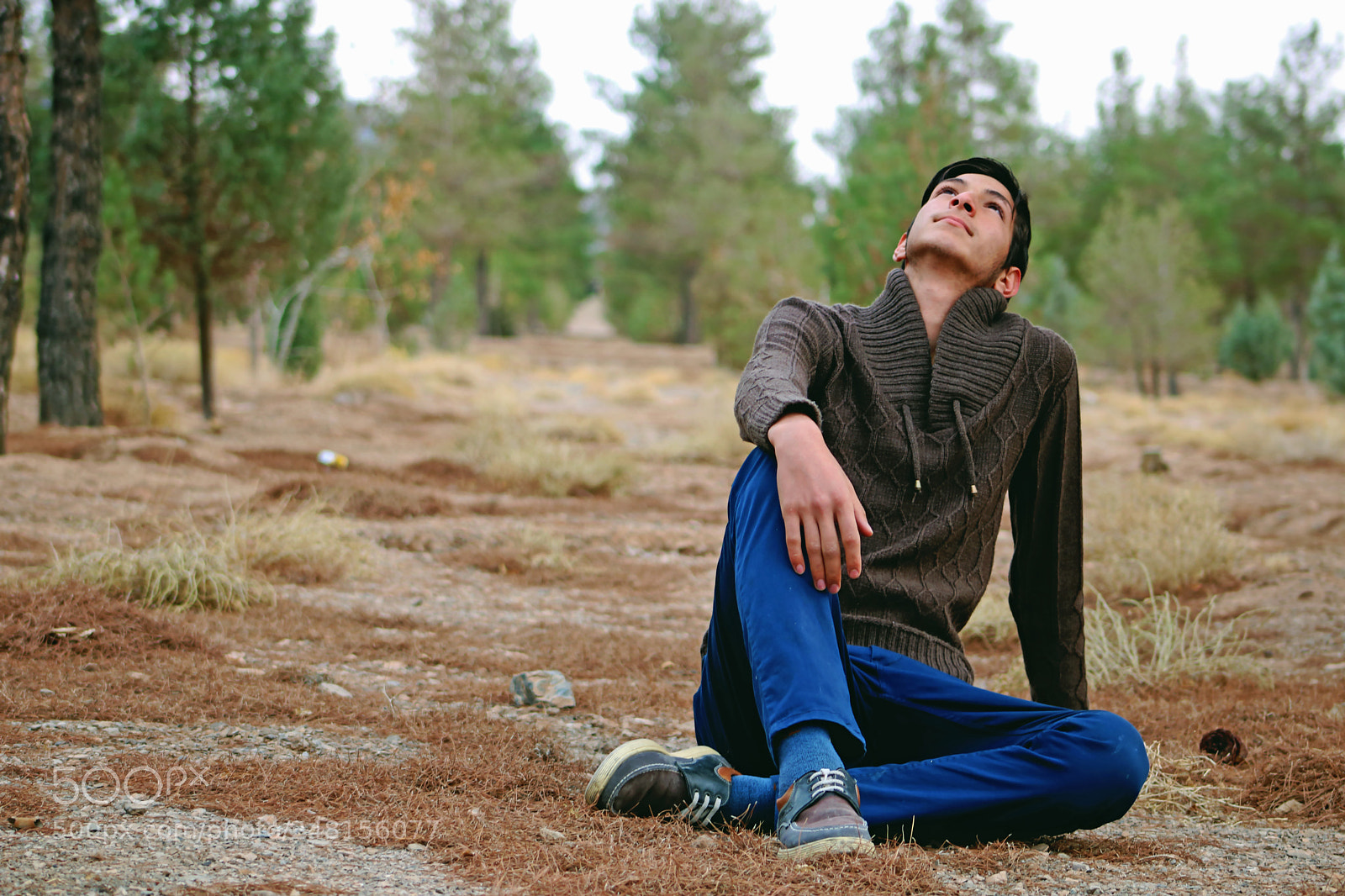 Canon EOS 750D (EOS Rebel T6i / EOS Kiss X8i) sample photo. Hamid photography