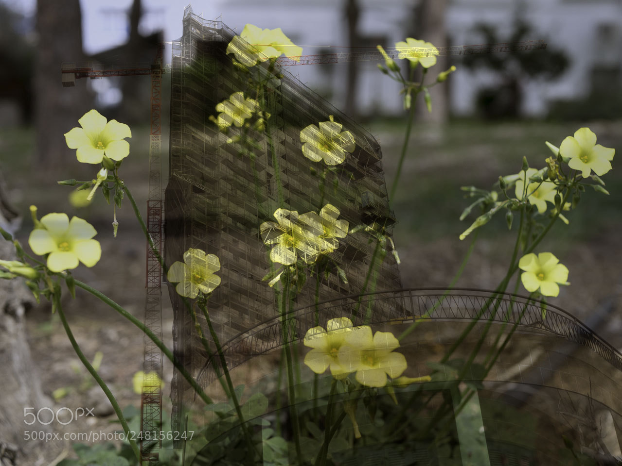 Panasonic Lumix DMC-G7 sample photo. Nature and man photography