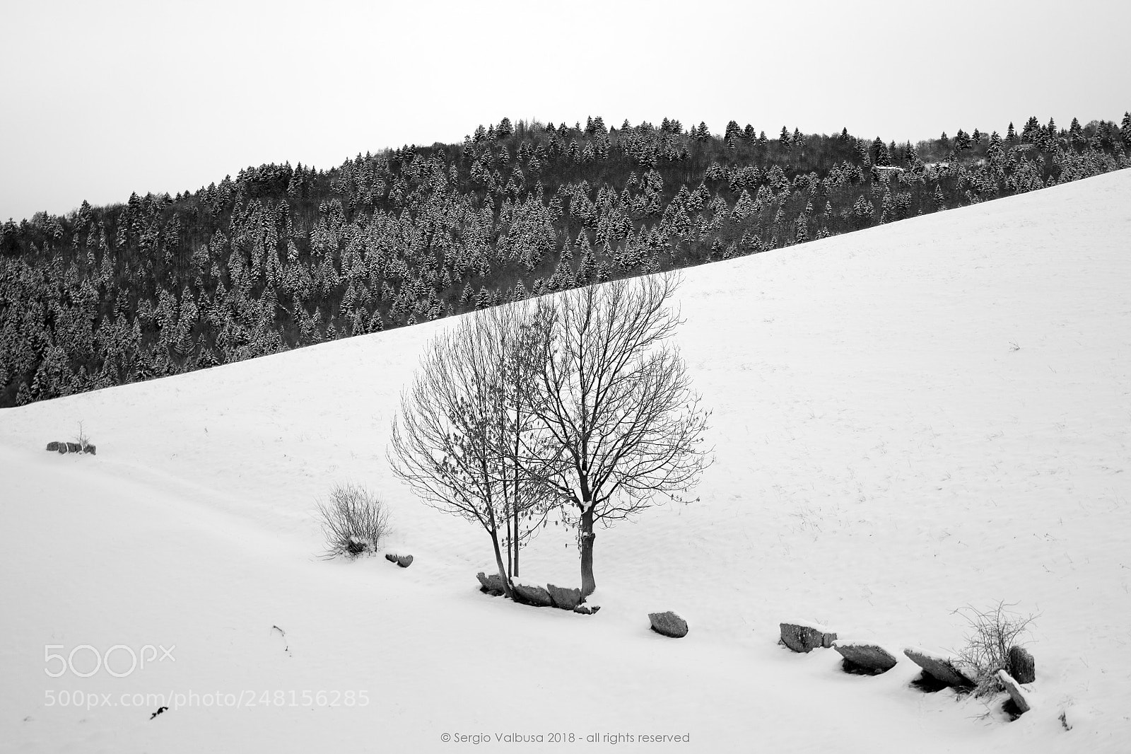 Canon EOS 50D sample photo. Segni nel bianco photography