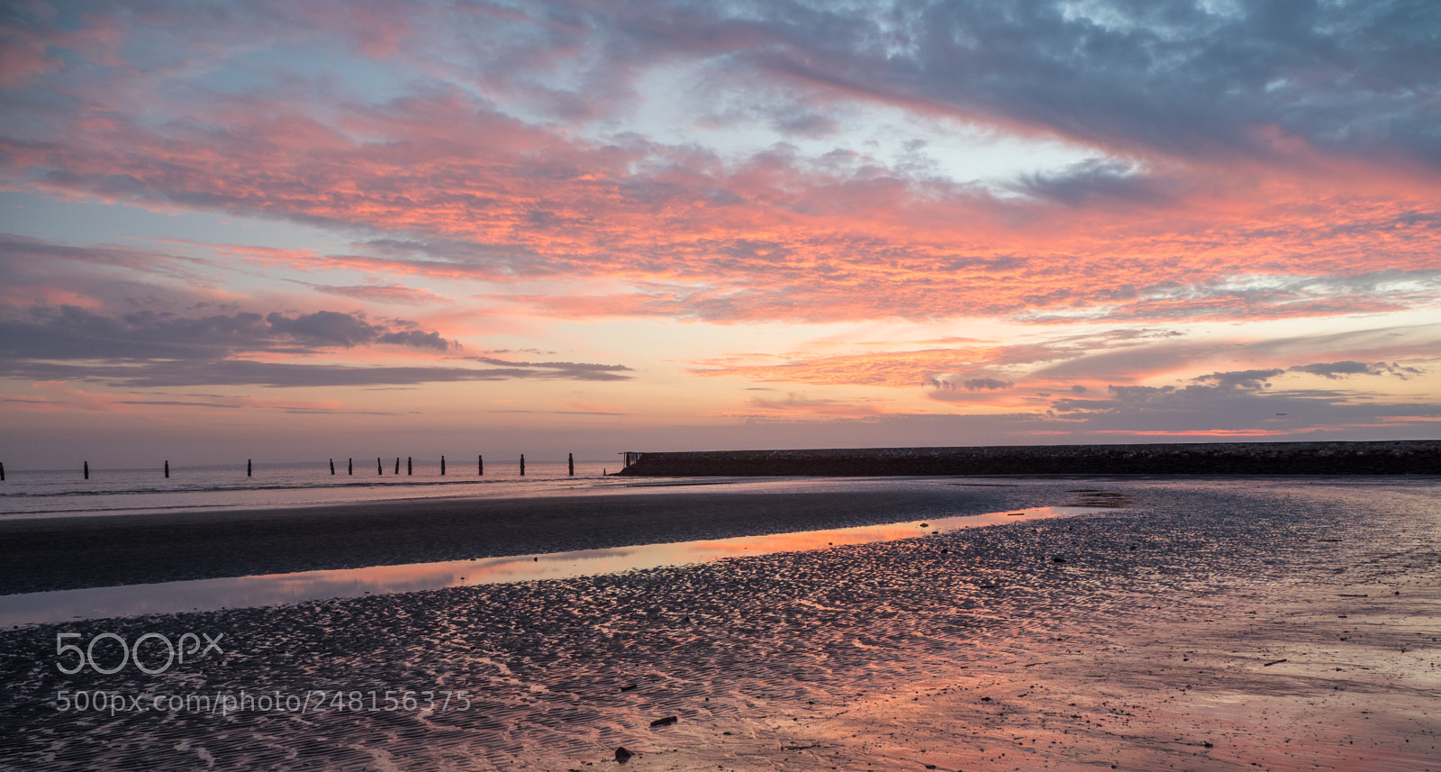 Olympus OM-D E-M1 Mark II sample photo. Sandgate dawn photography