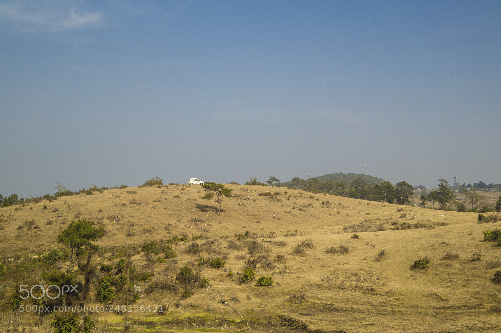 Sony SLT-A58 sample photo. Alone photography