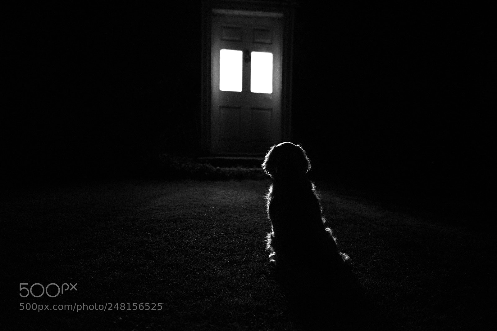 Nikon D810 sample photo. Knockin' on heaven's door photography