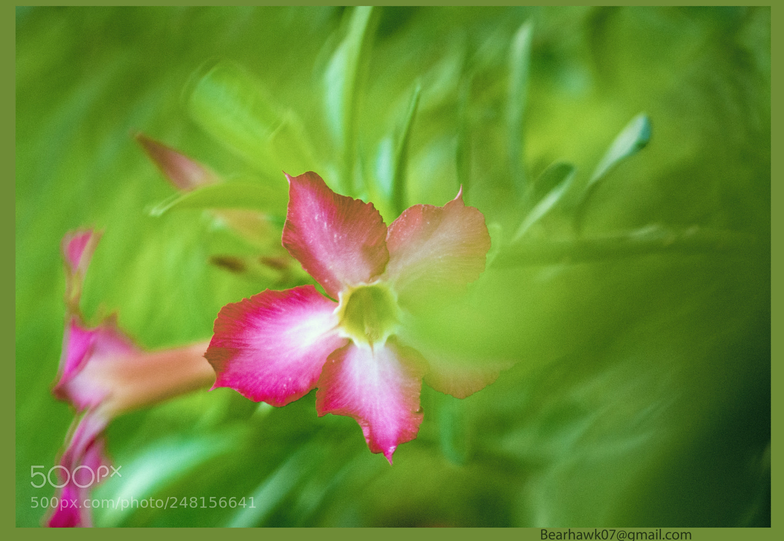Nikon D7200 sample photo. 436.jpg photography