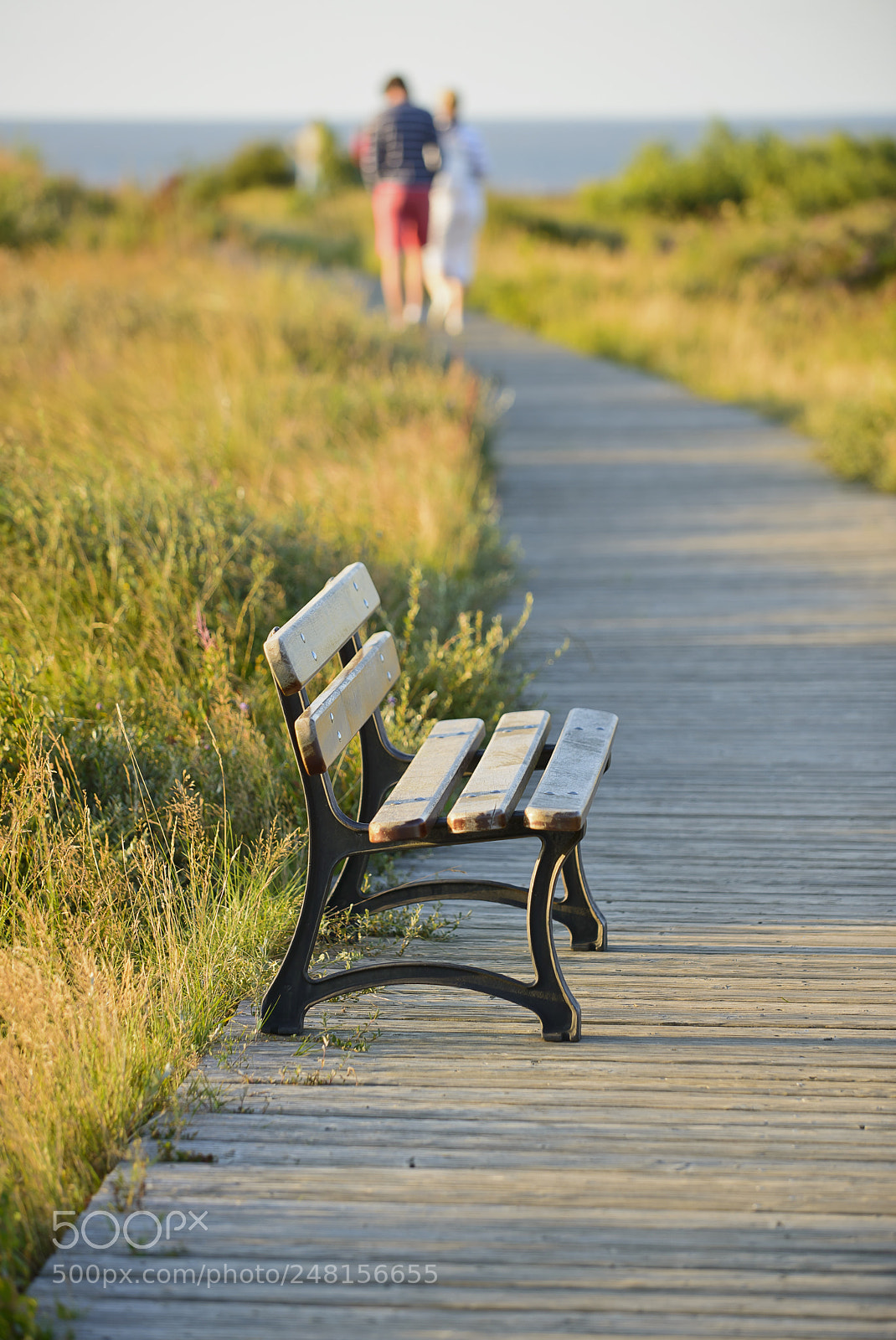Nikon D800 sample photo. Lonely bench on seacoast photography