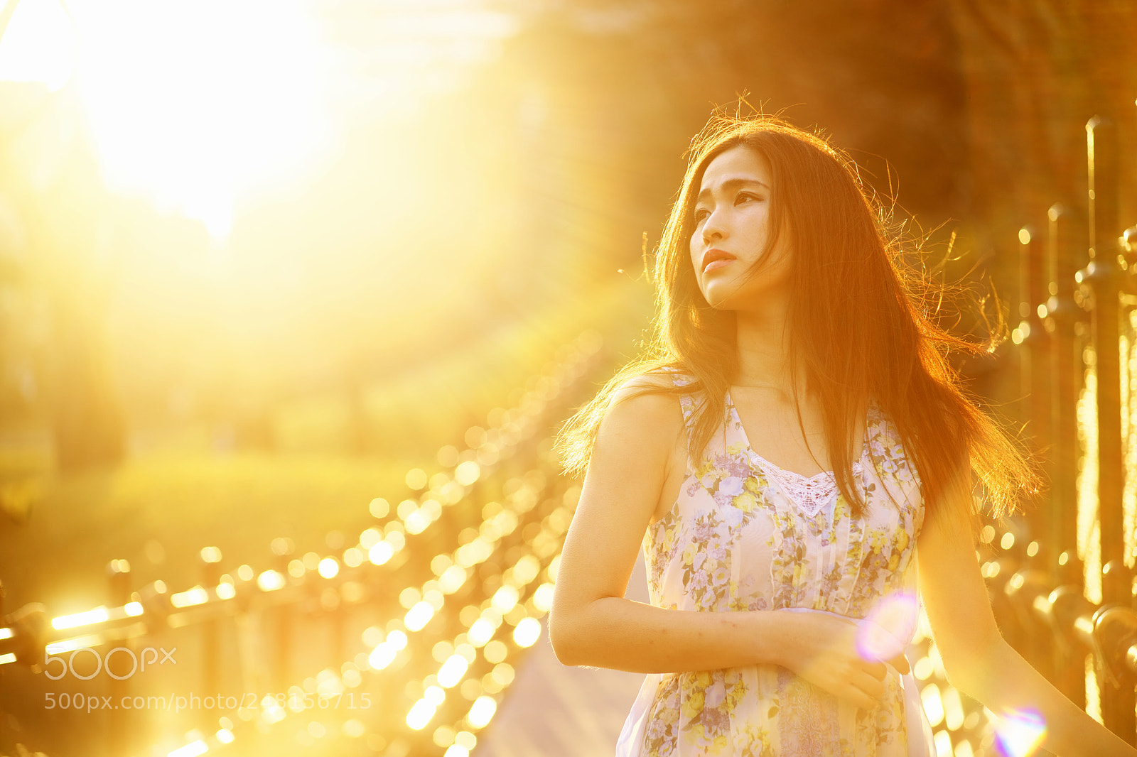 Sony a7 II sample photo. Sunset photography