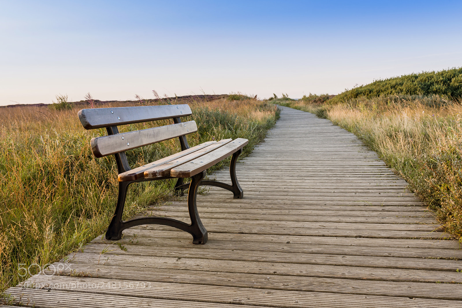 Nikon D800 sample photo. Lonely bench on seacoast photography