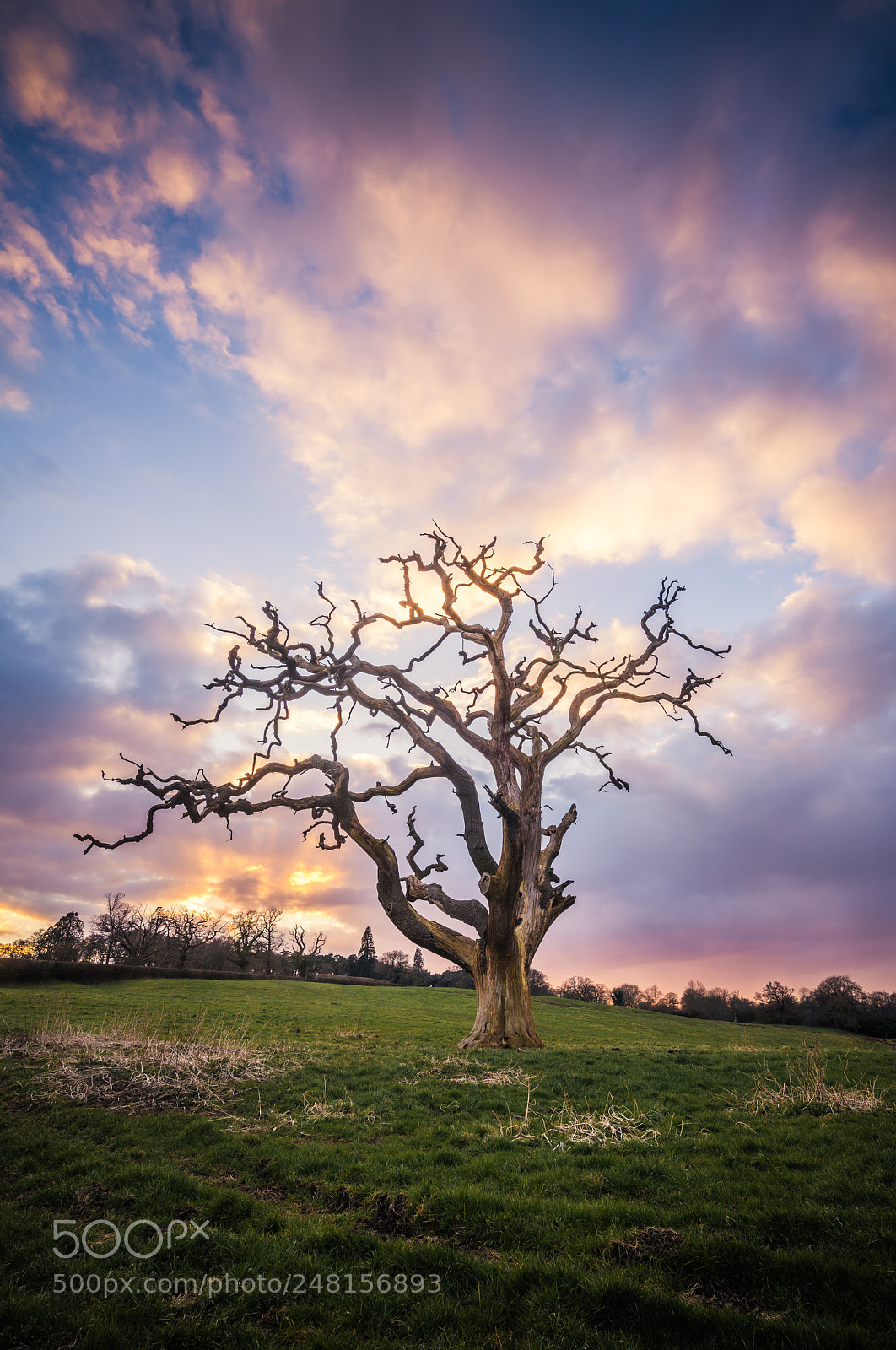 Sony a7R II sample photo. A change of seasons photography