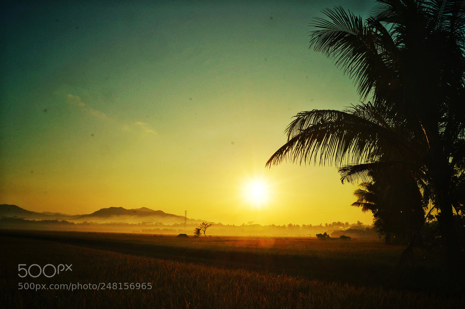 Sony SLT-A57 sample photo. Sunrise in yogyakarta photography