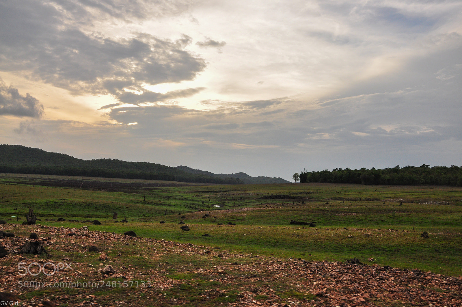 Nikon D90 sample photo. Sunset beckons in bhadra photography