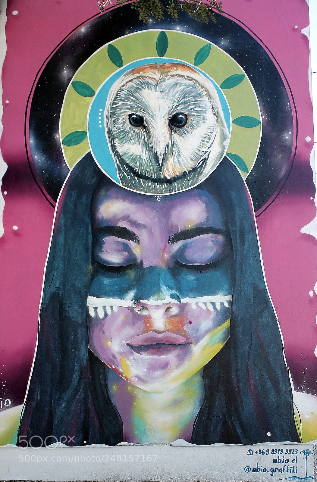 Canon EOS 1100D (EOS Rebel T3 / EOS Kiss X50) sample photo. Mural photography