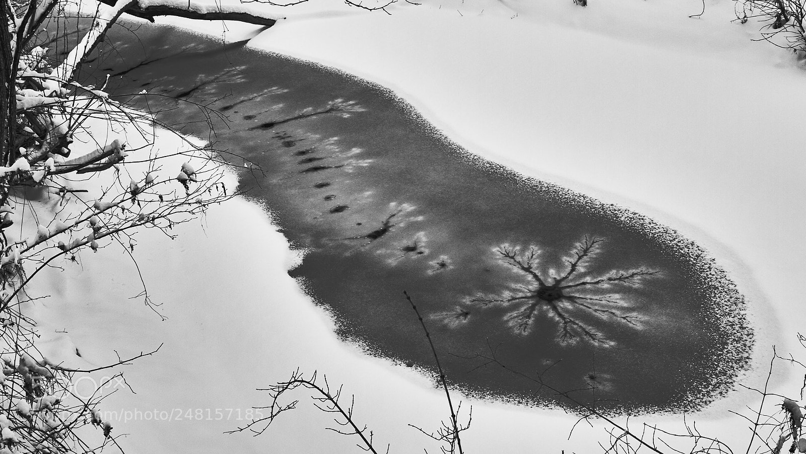 Canon EOS 7D sample photo. Graphic ice photography