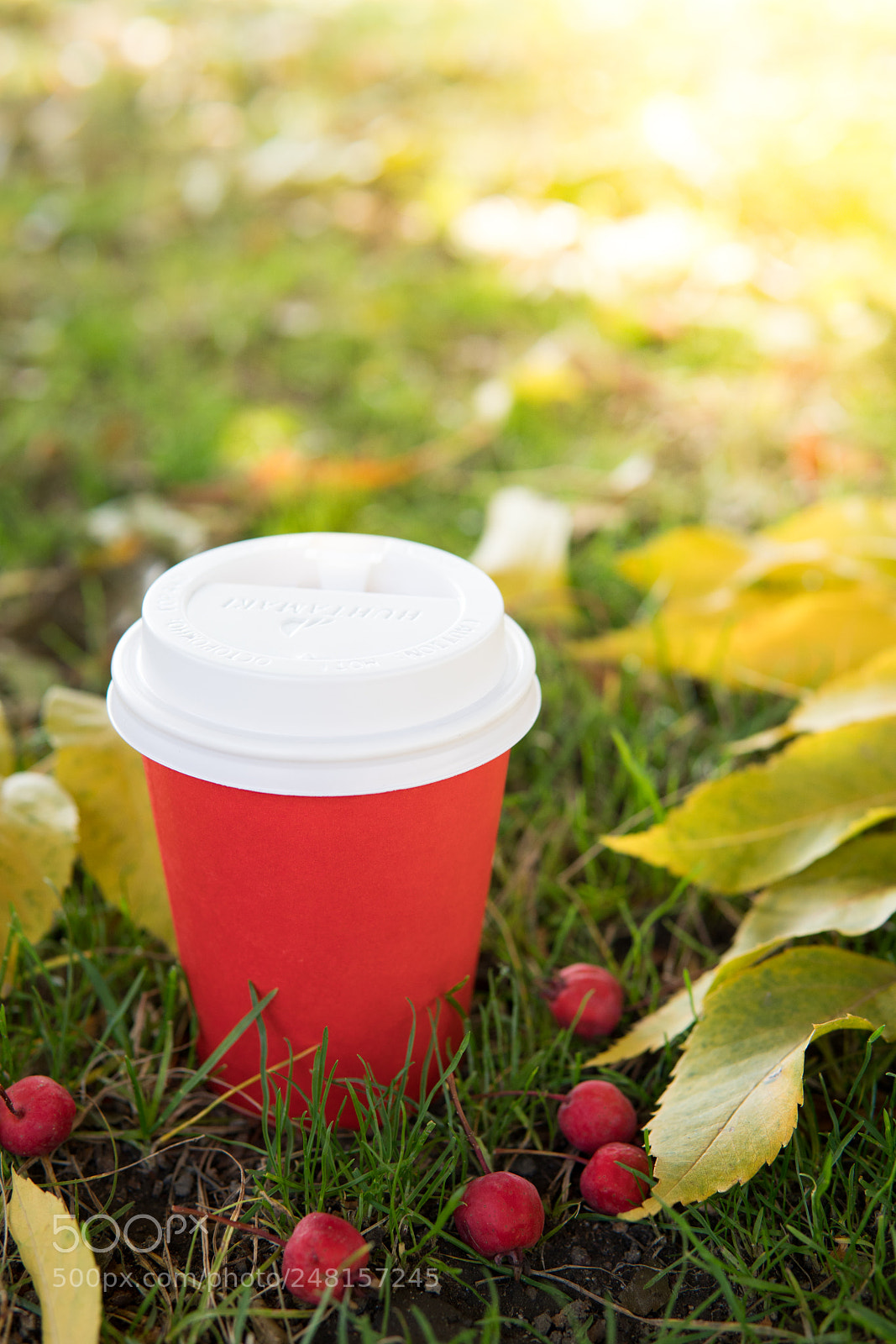 Sony a6500 sample photo. Coffee to go and photography