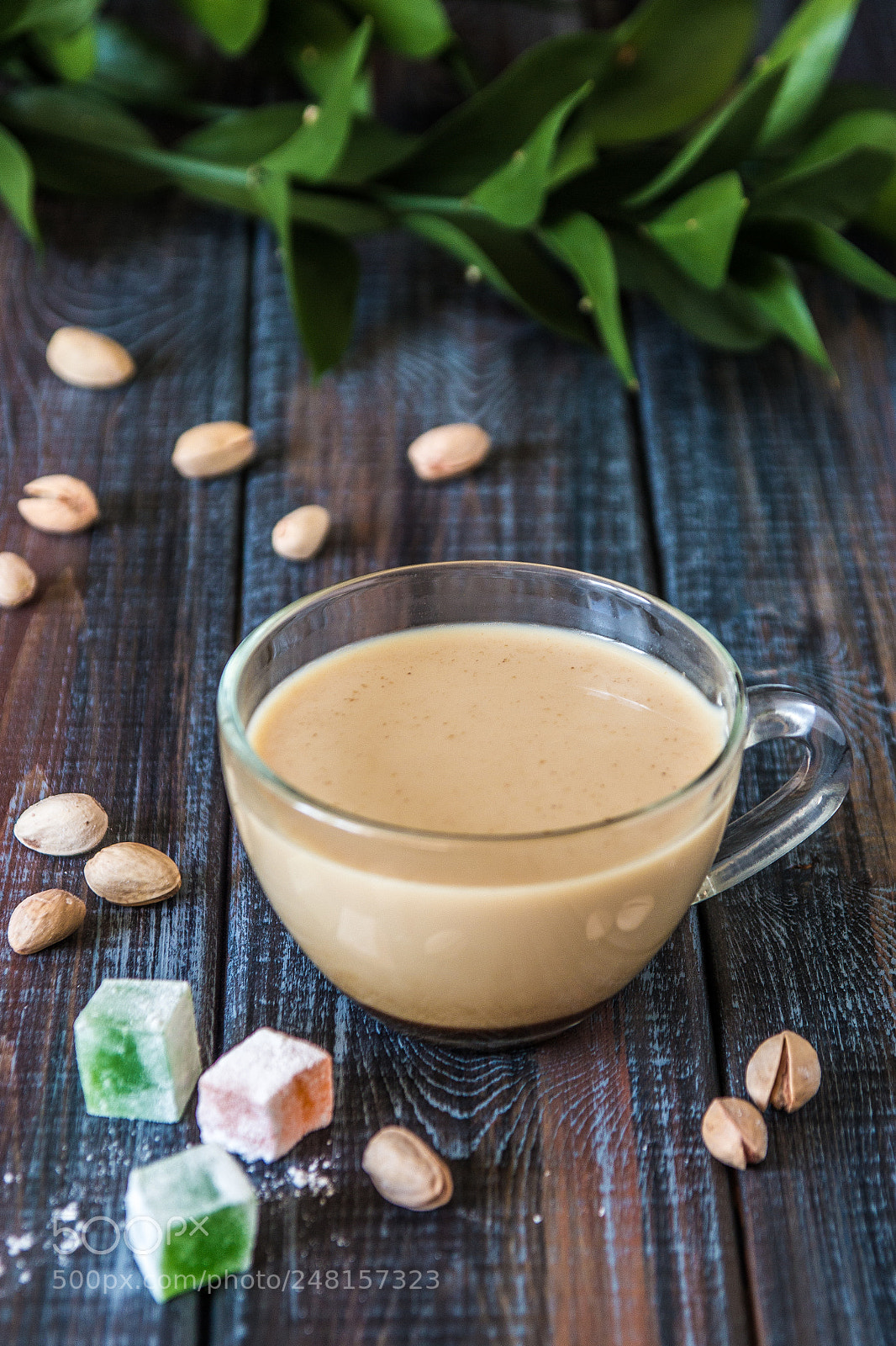 Canon EOS 600D (Rebel EOS T3i / EOS Kiss X5) sample photo. Coffee with milk, pistachios photography