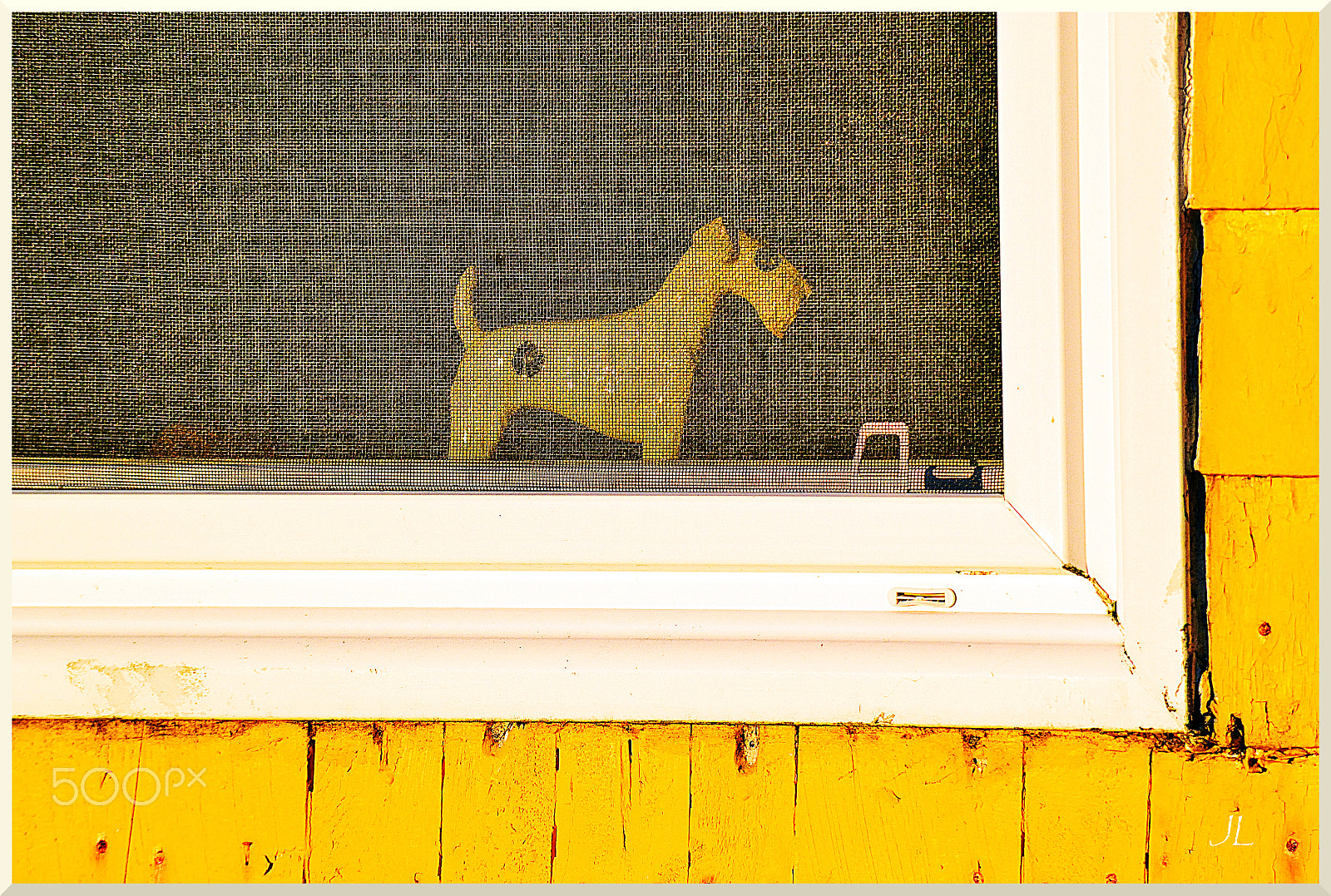 Nikon D3100 sample photo. Doggy in the window dsc photography