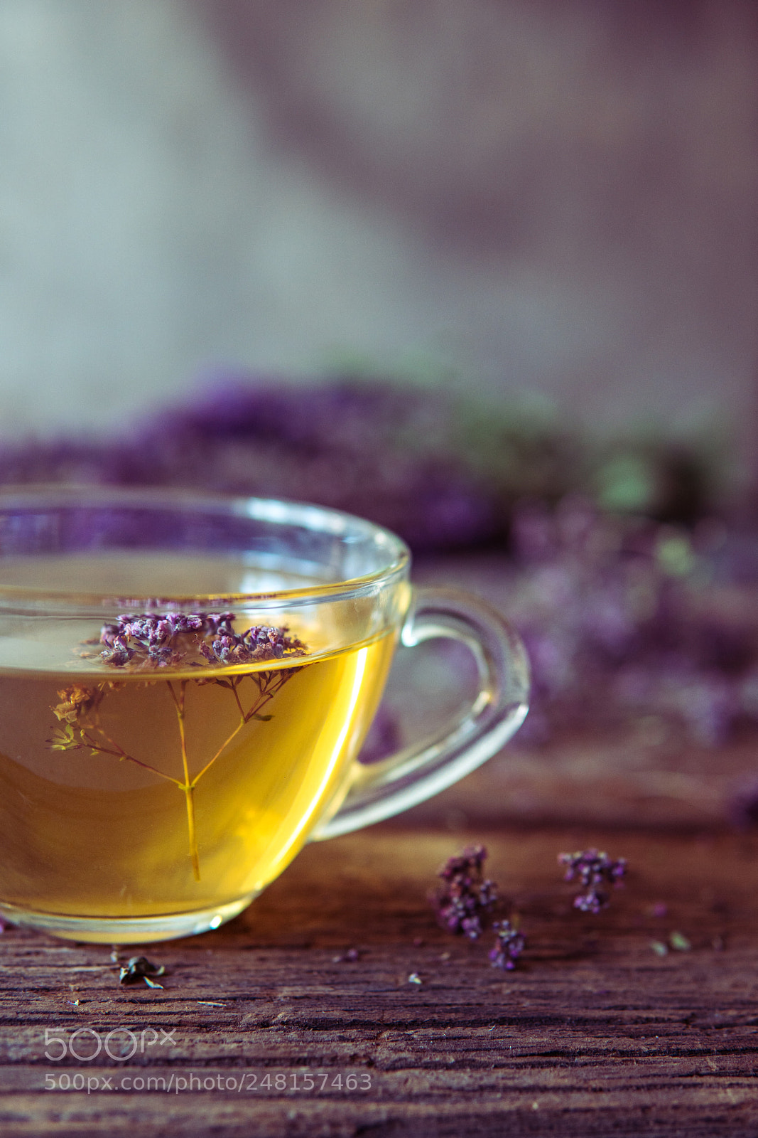 Sony a6500 sample photo. Green tea with herbals photography