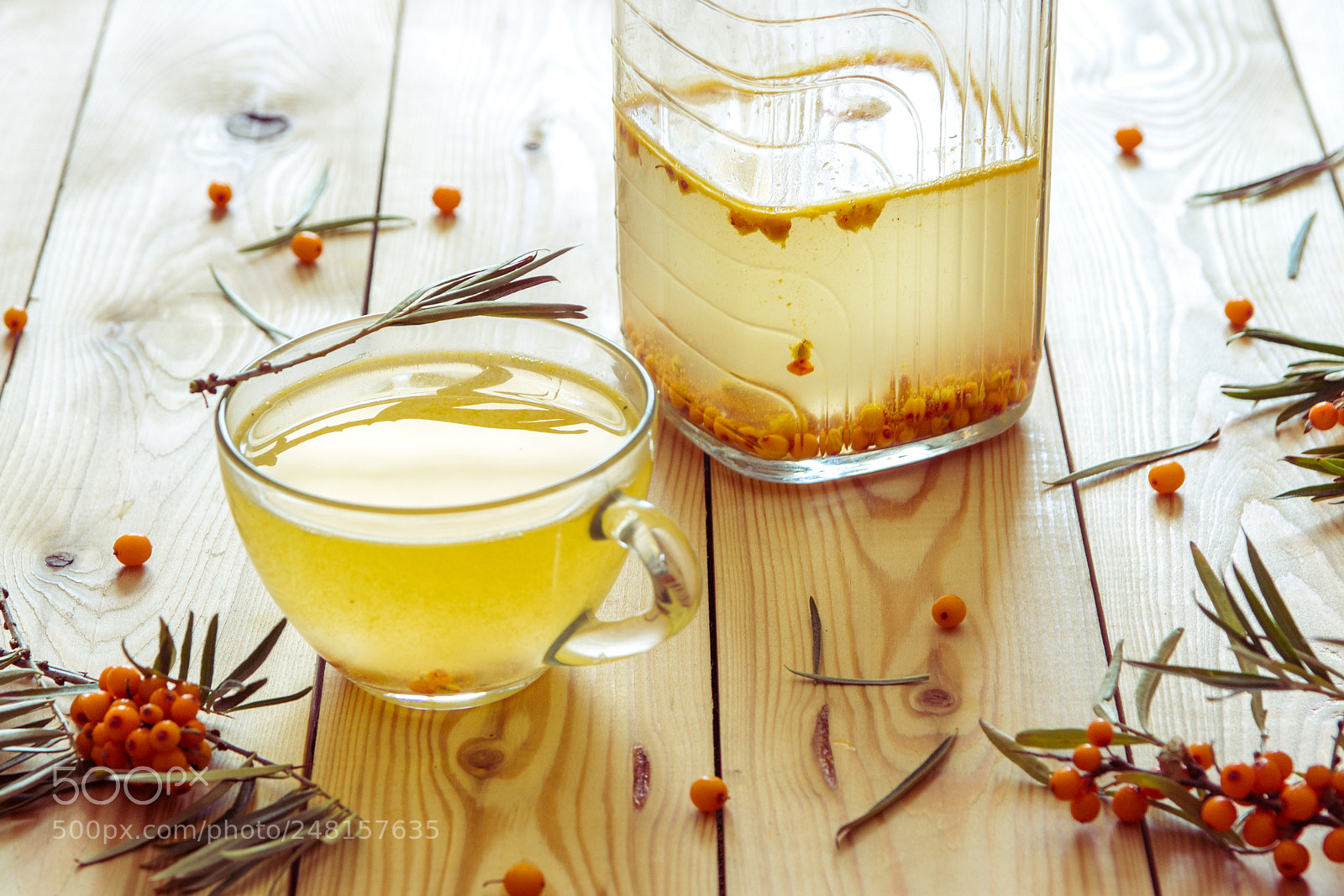 Canon EOS 600D (Rebel EOS T3i / EOS Kiss X5) sample photo. Tea with sea-buckthorn orange photography