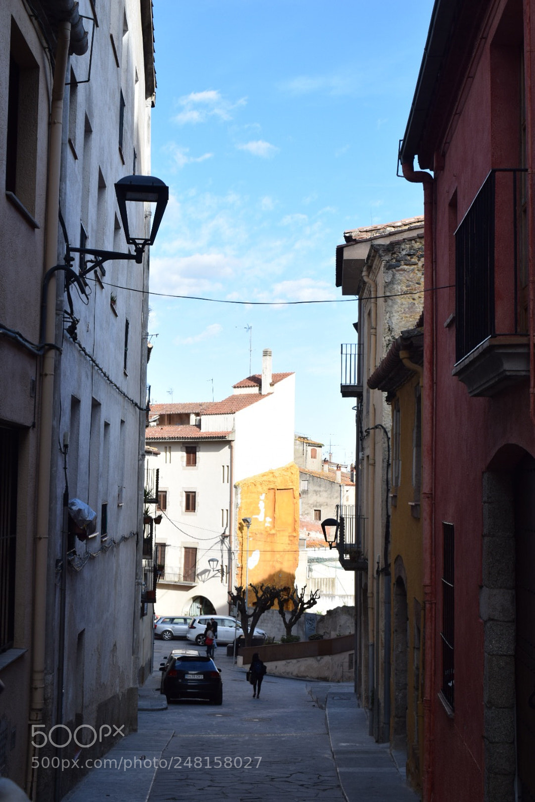 Nikon D5300 sample photo. Yellow photography